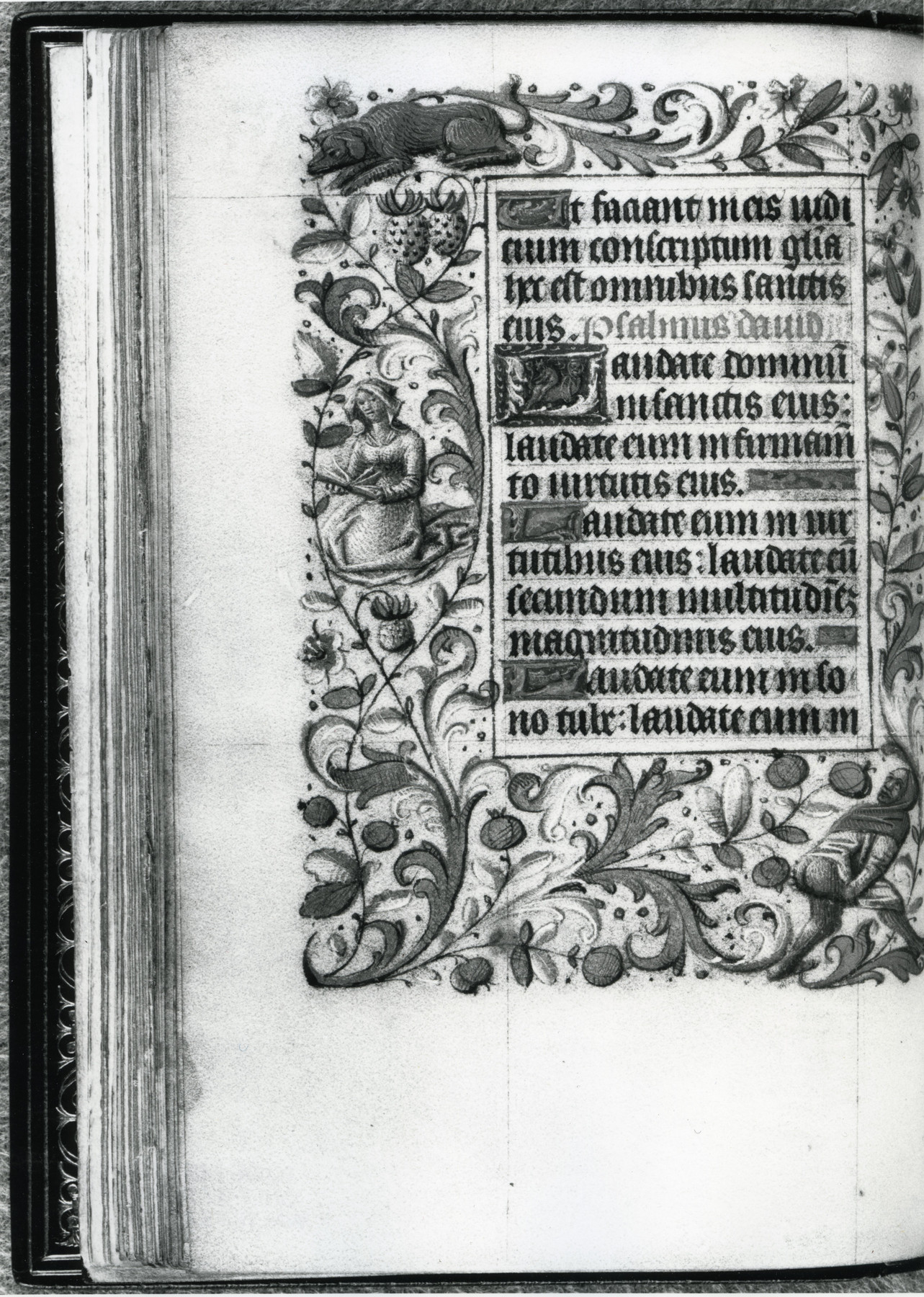 Image for Illum.borders;drolleries,grotesques;gold