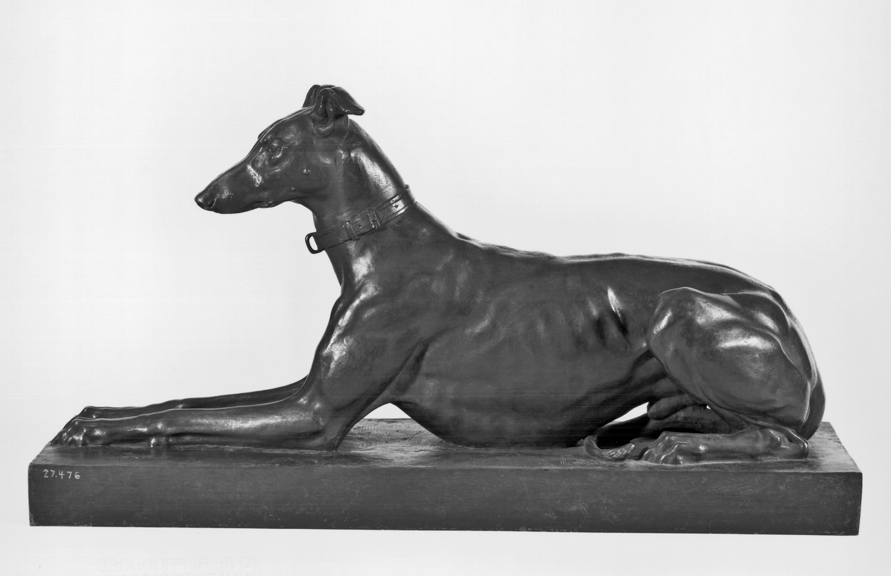 Image for Tom, the Algerian Greyhound