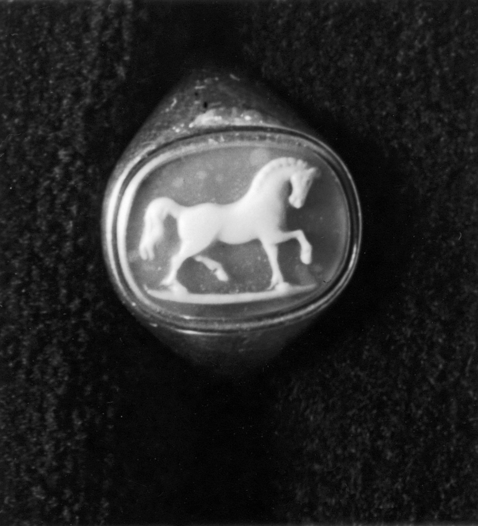 Image for Cameo with a Horse Set in a Ring