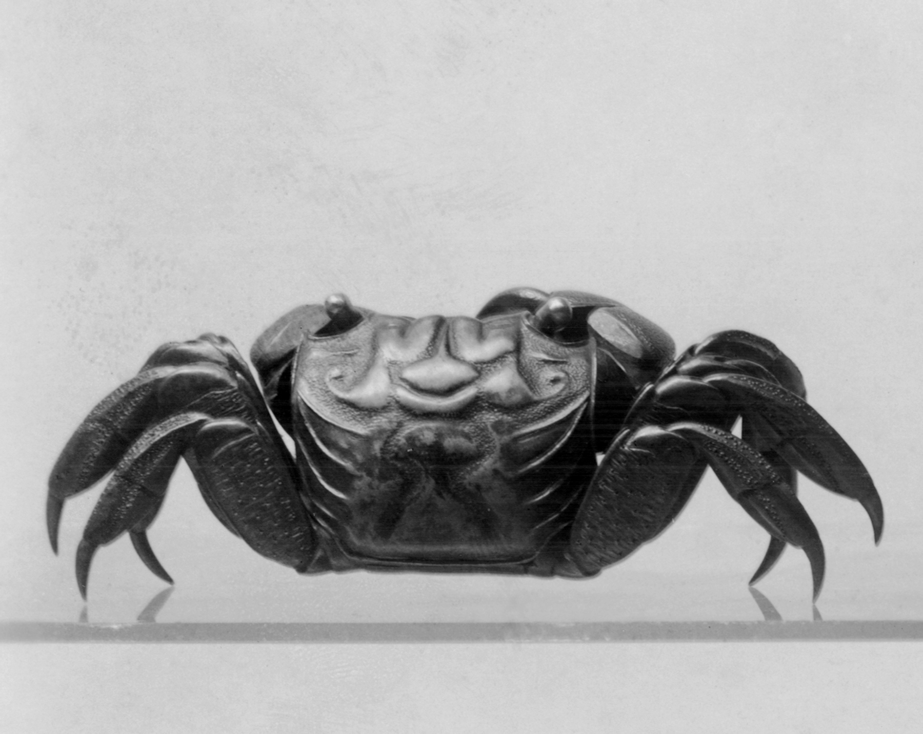 Image for Crab Box
