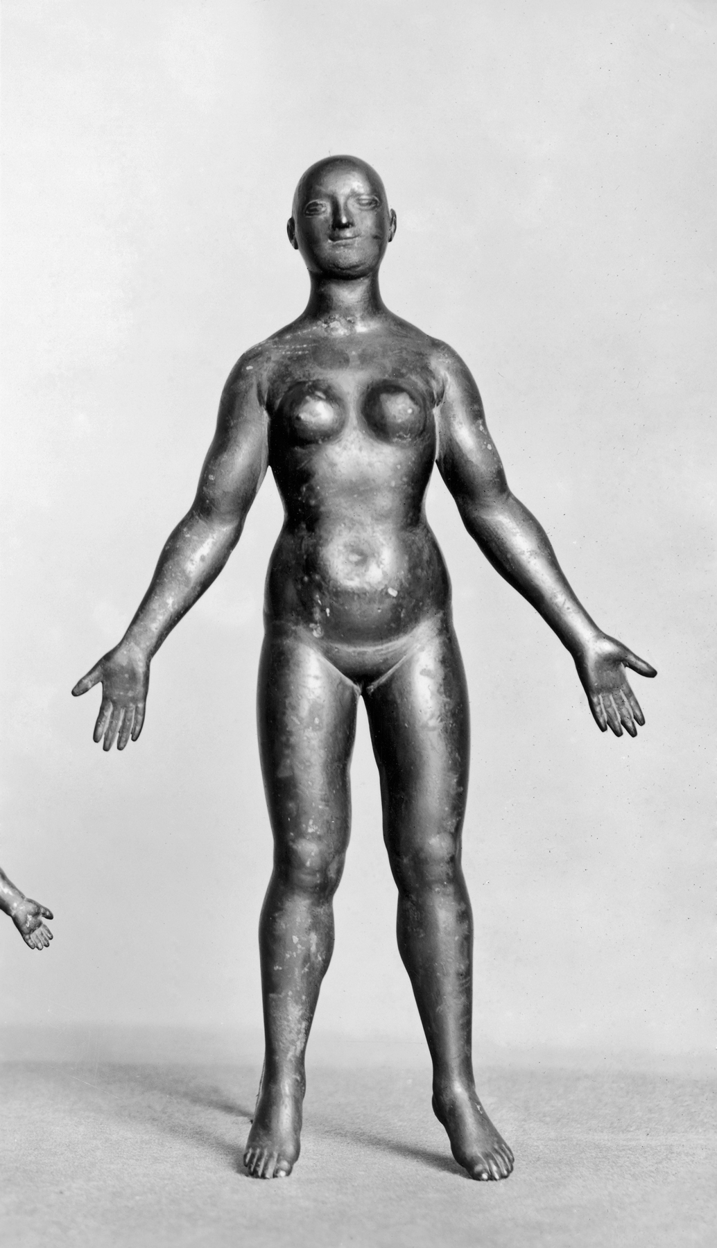 Image for Anatomical Figure of a Woman