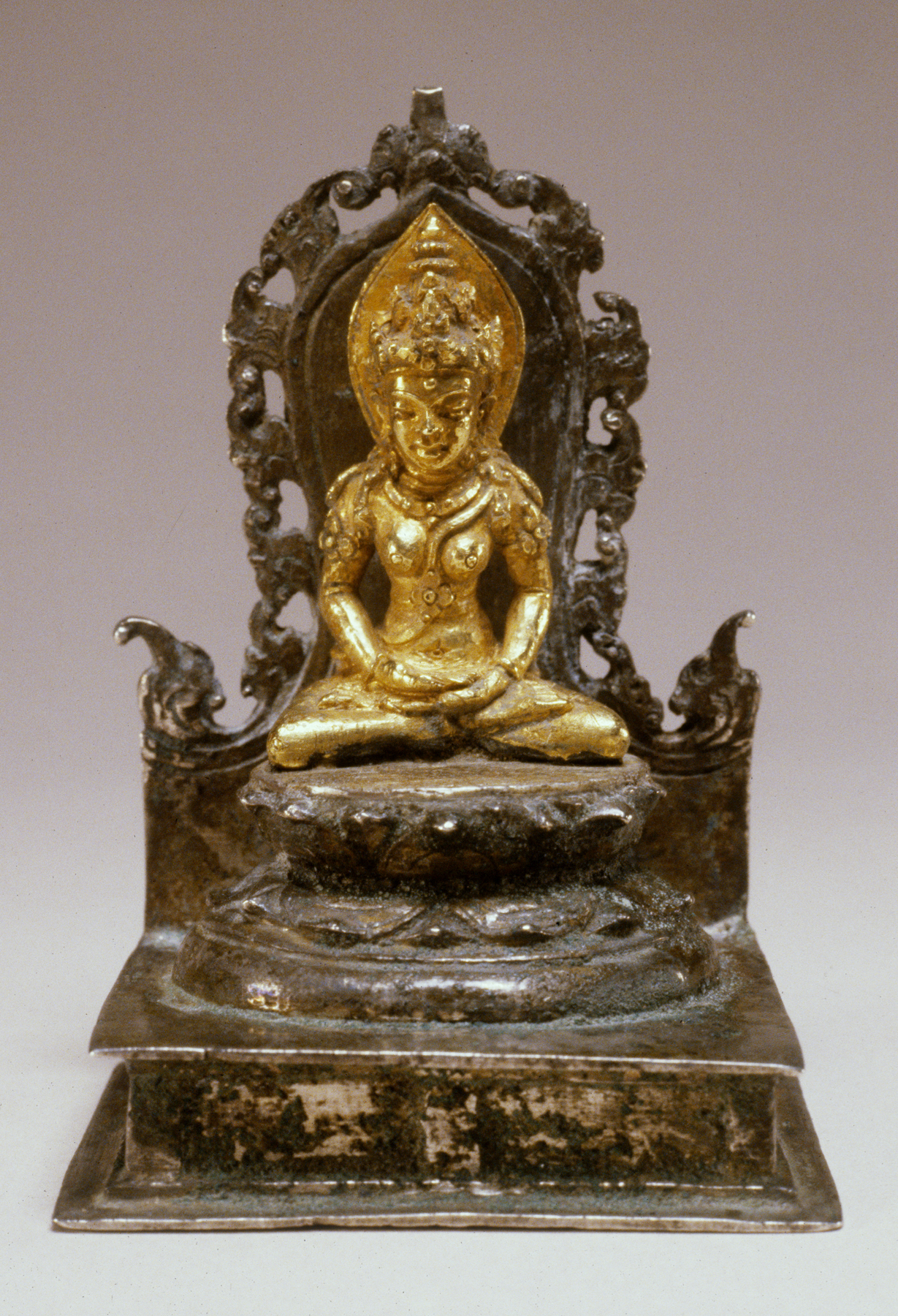 Image for The Buddhist Goddess Tara
