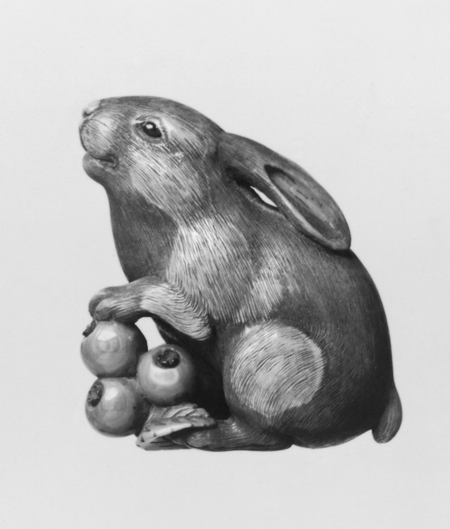 Image for Rabbit with Loquats