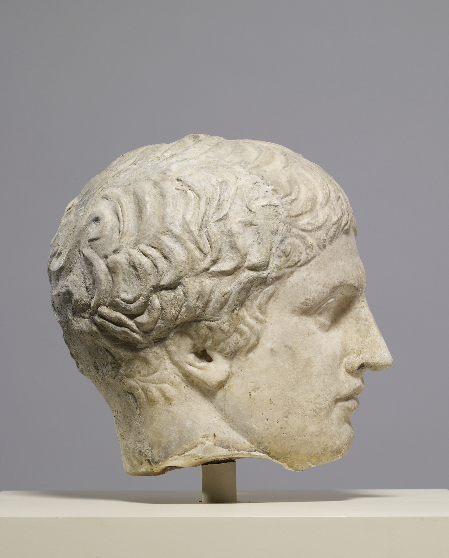 Image for Head of the Doryphorus