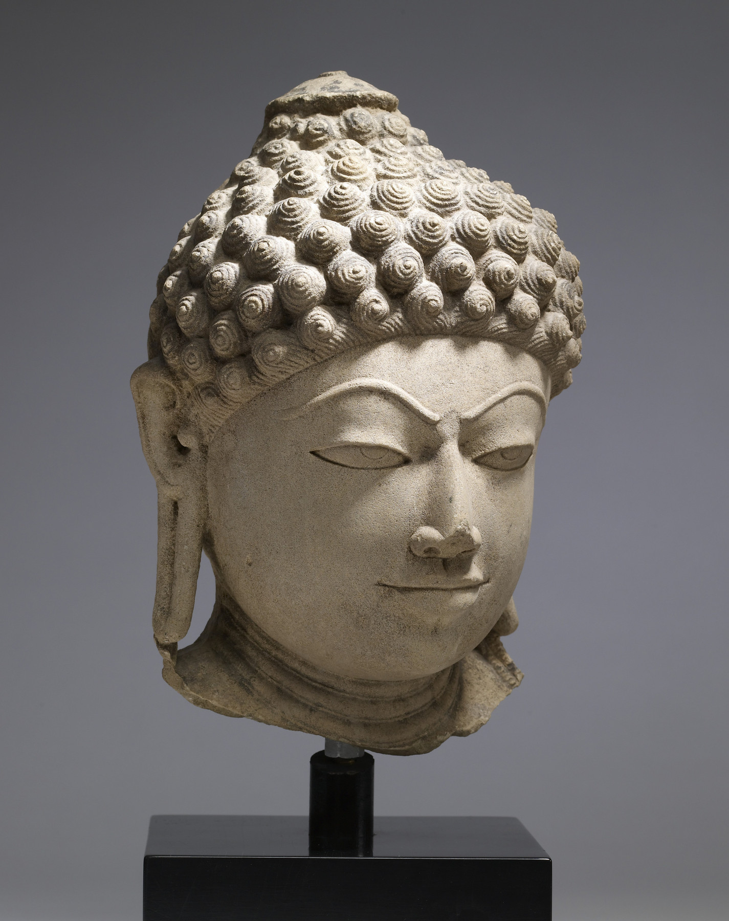 Image for Head of a Jina