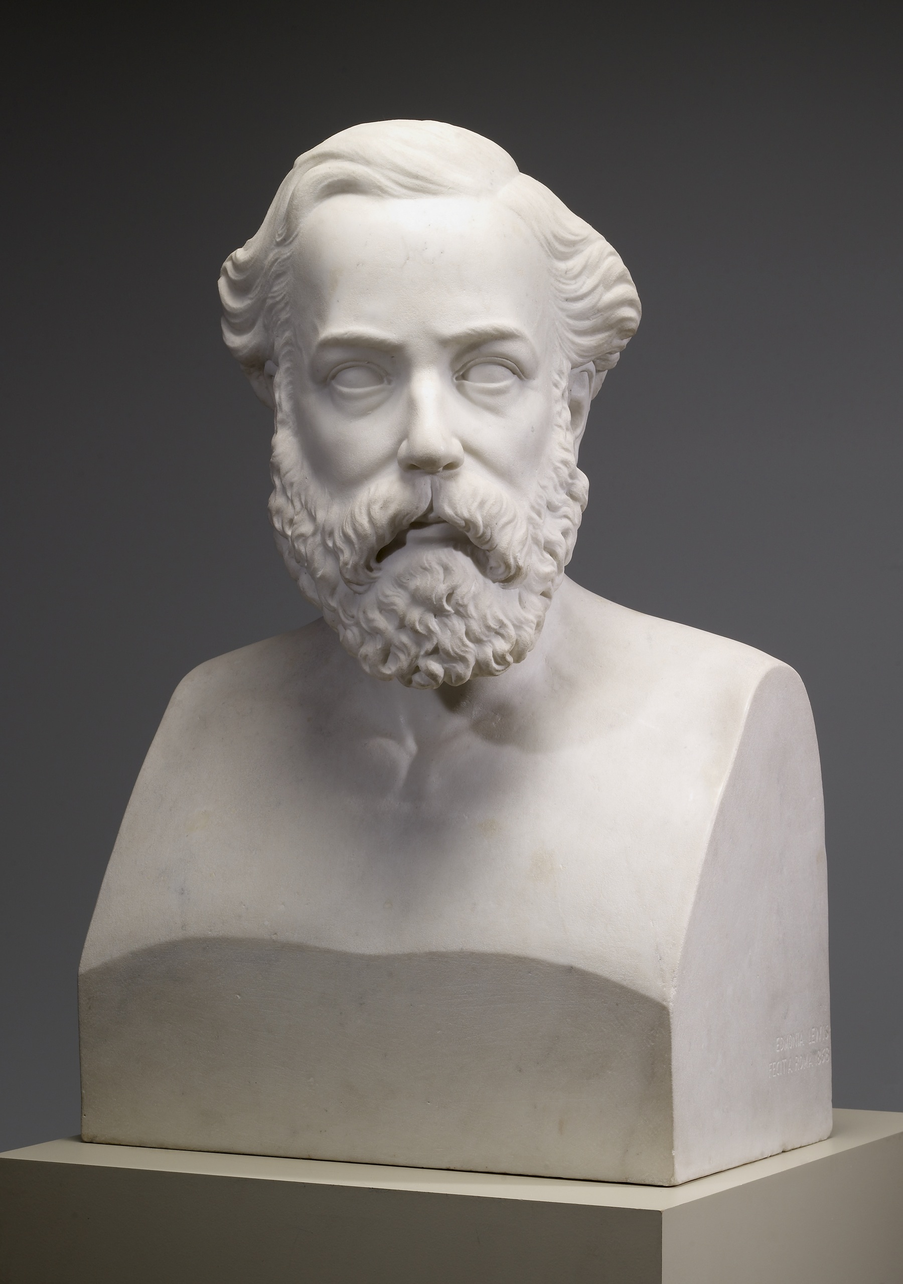 Image for Bust of Dr. Dio Lewis