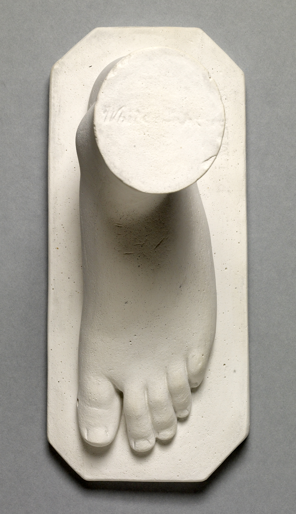 Image for Left foot of "The White Captive"
