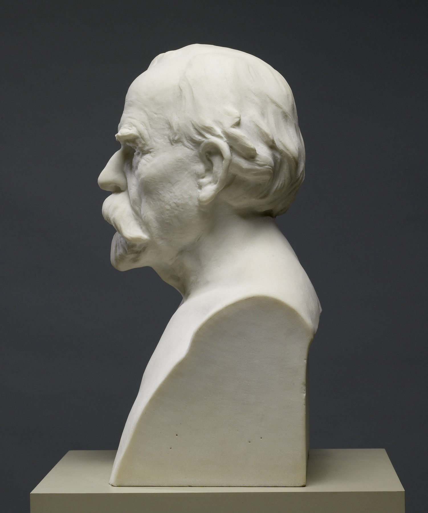 Image for Bust of Henry Walters