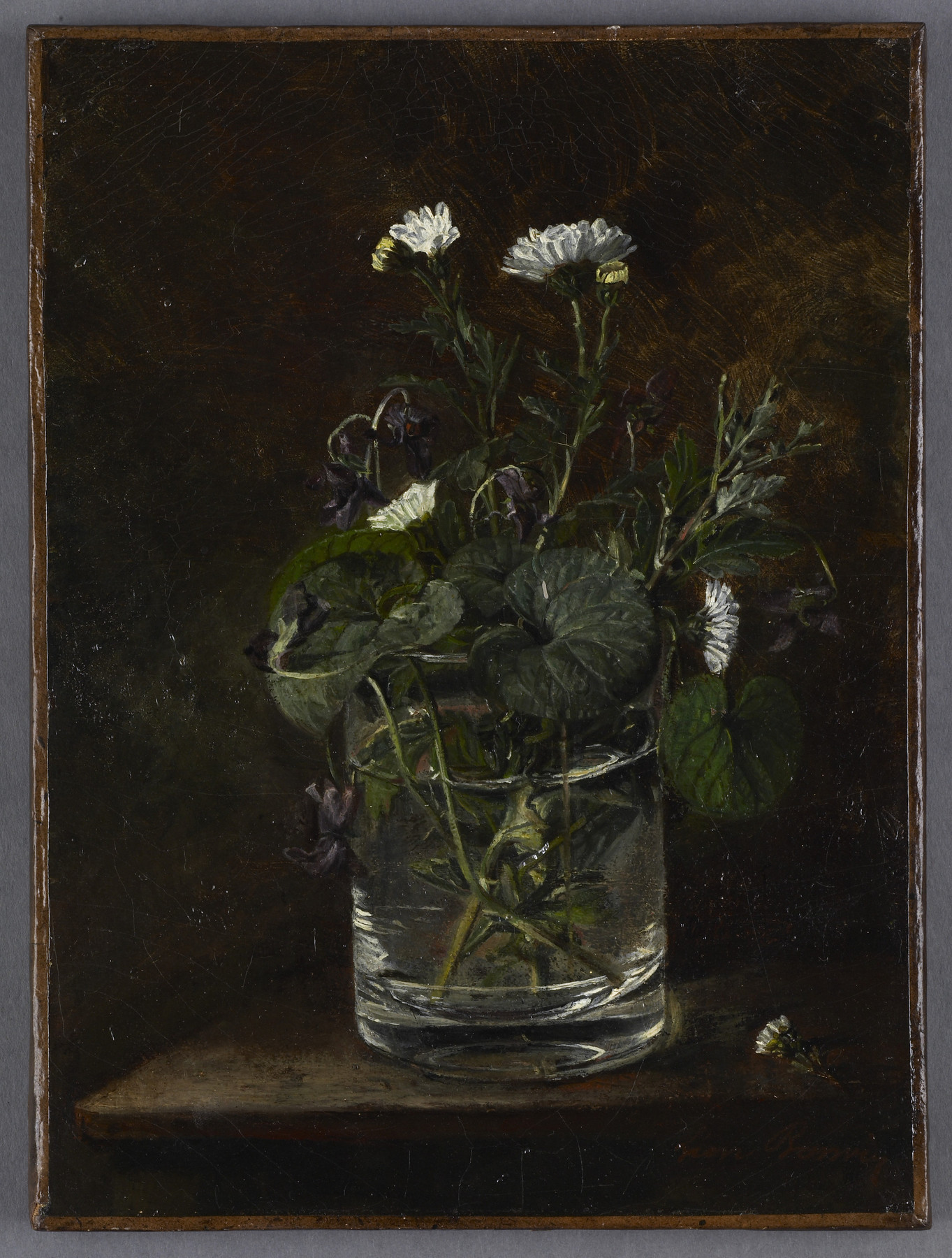 Image for Still Life: Daisies and Violets