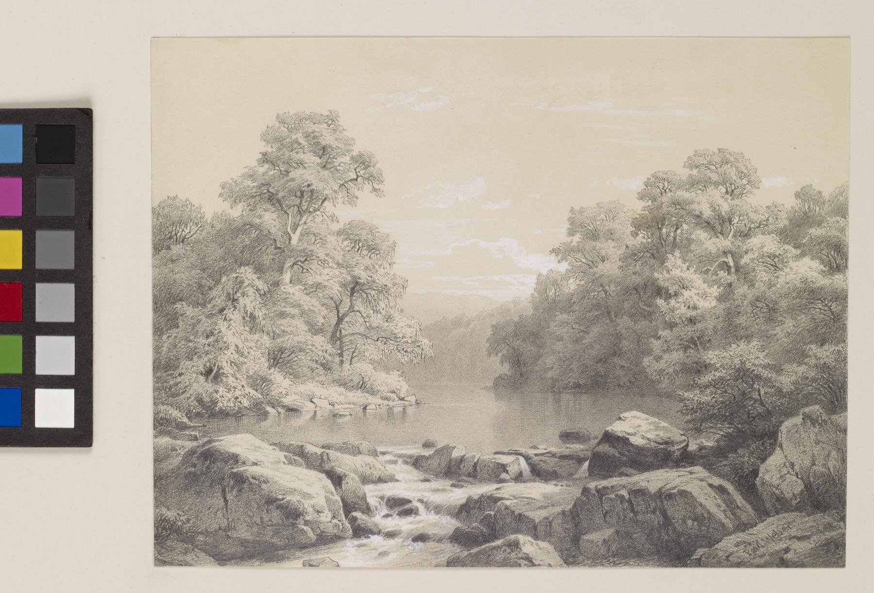 Image for River And Forest Scene