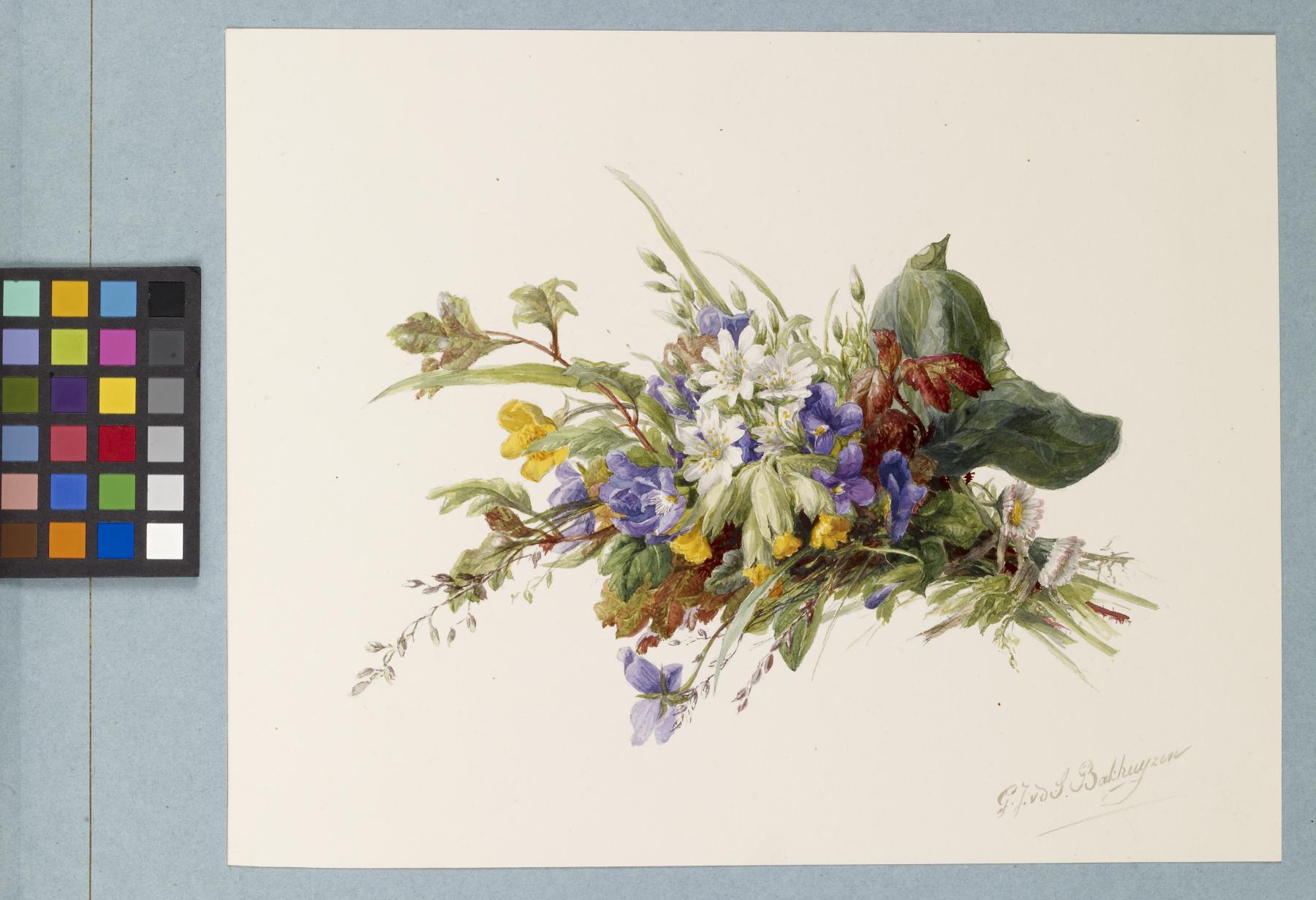 Image for Bouquet of Wildflowers