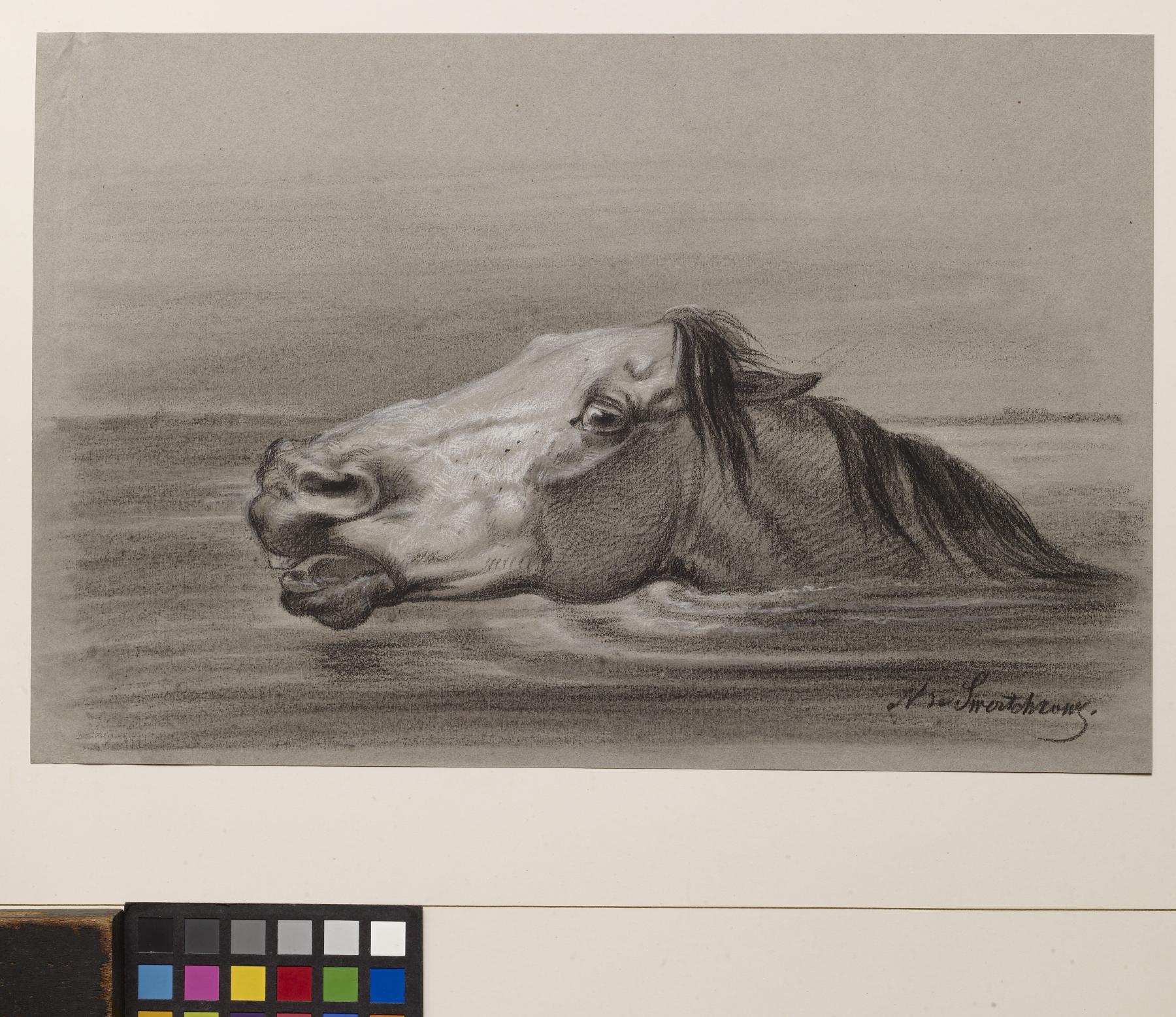 Image for Head of a Swimming Horse