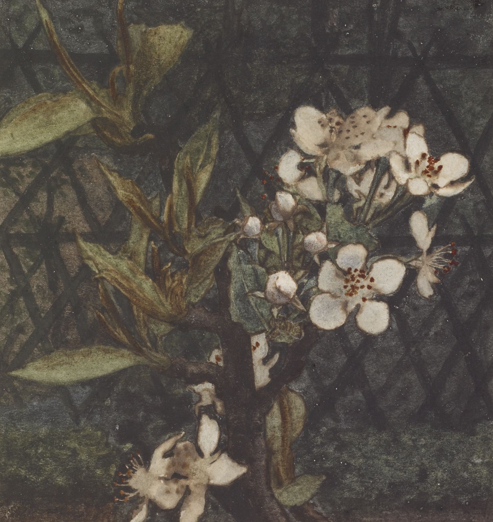 Image for Apple Blossoms