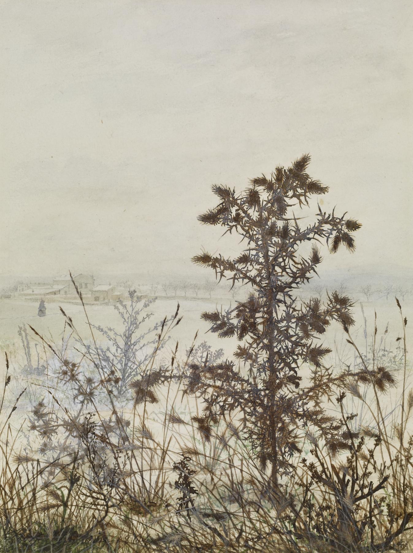 Image for Thistle in front of a Winter Landscape