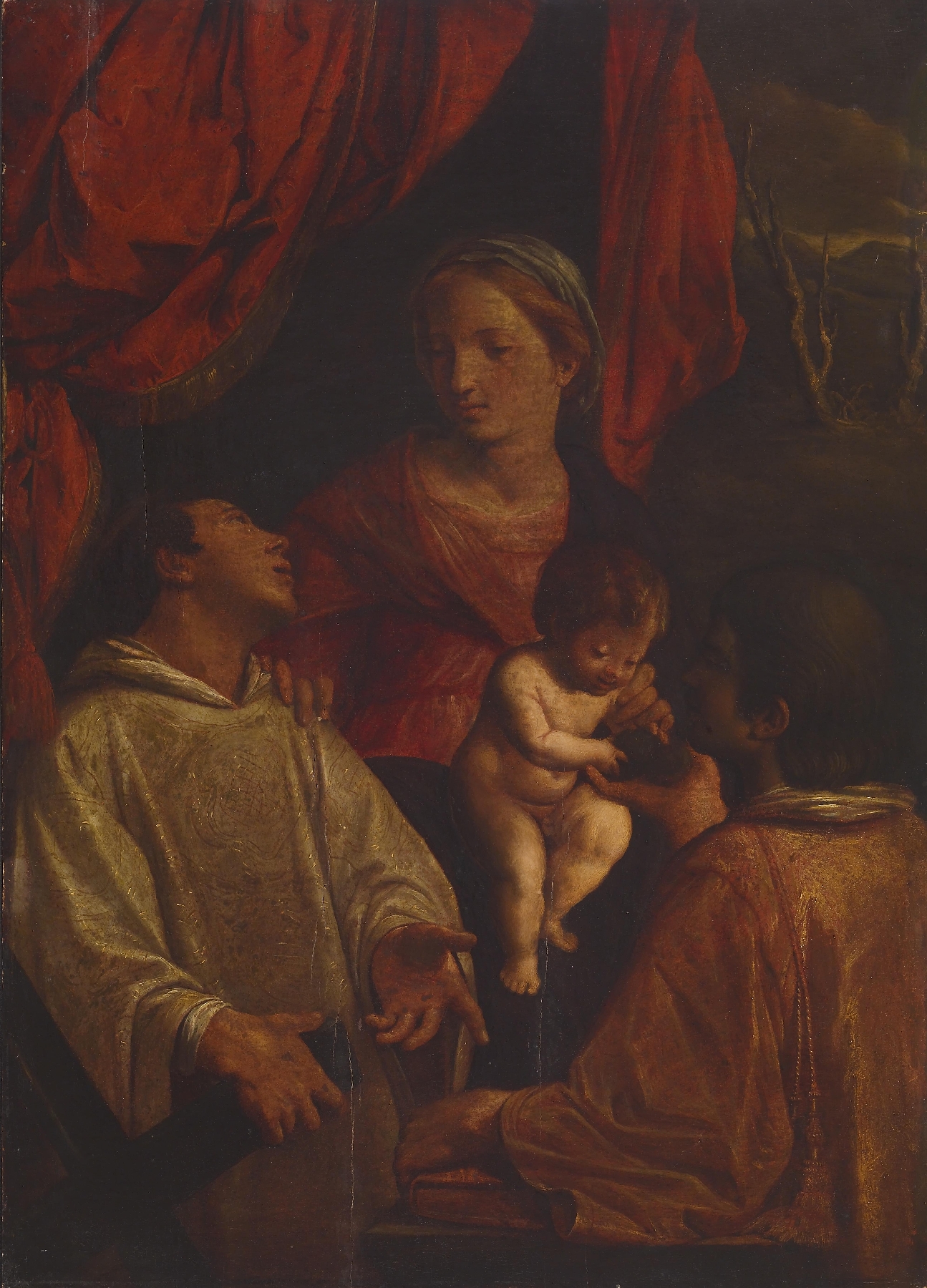 Image for Madonna and Child with St. Lawrence and St. Stephen