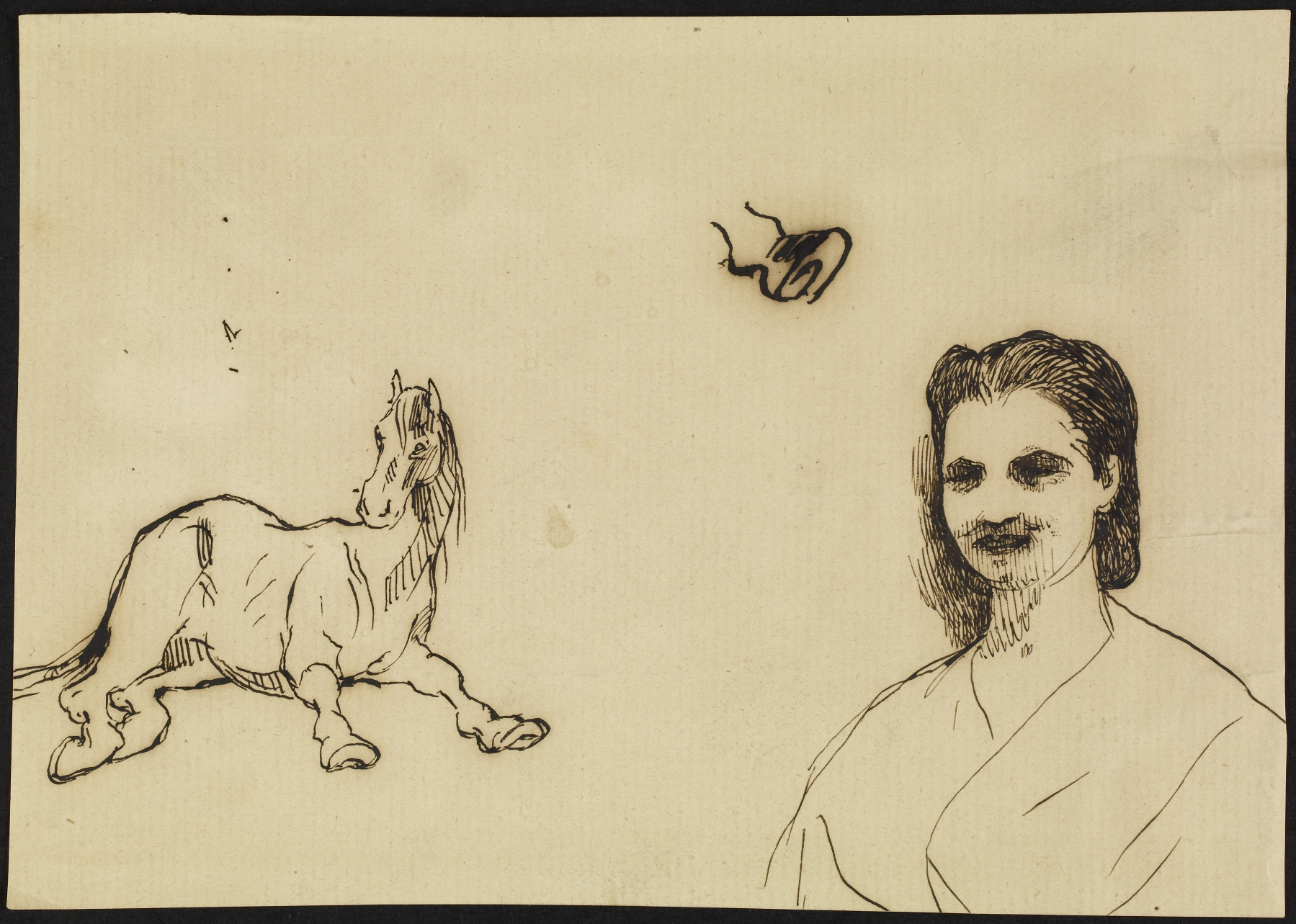 Image for A Horse and a Woman