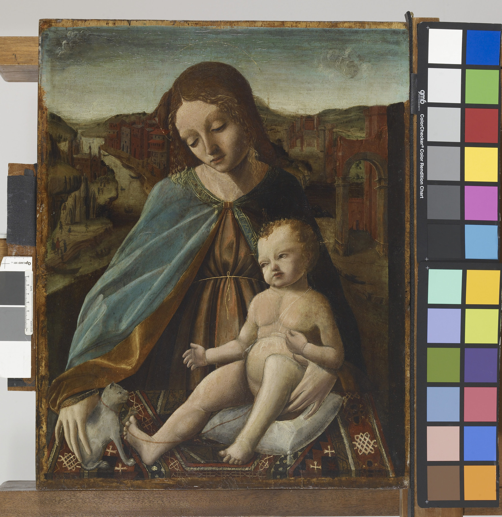 Image for Madonna and Child with a Cat