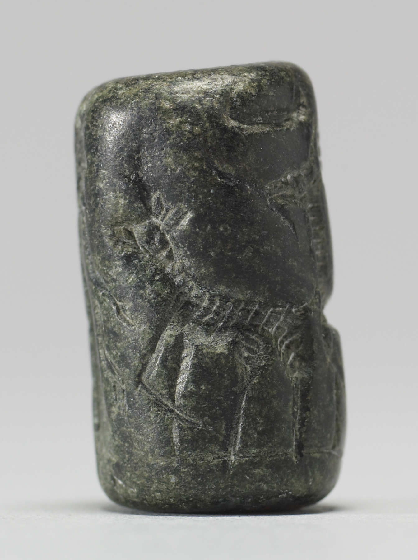Image for Cylinder Seal with a Figure, Animals, and an Inscription