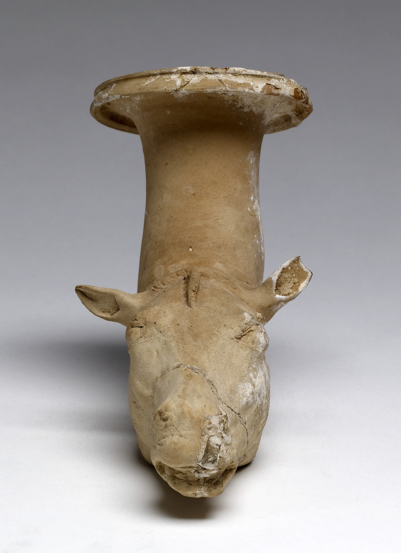 Image for Rhyton in the Form of a Horse's Head