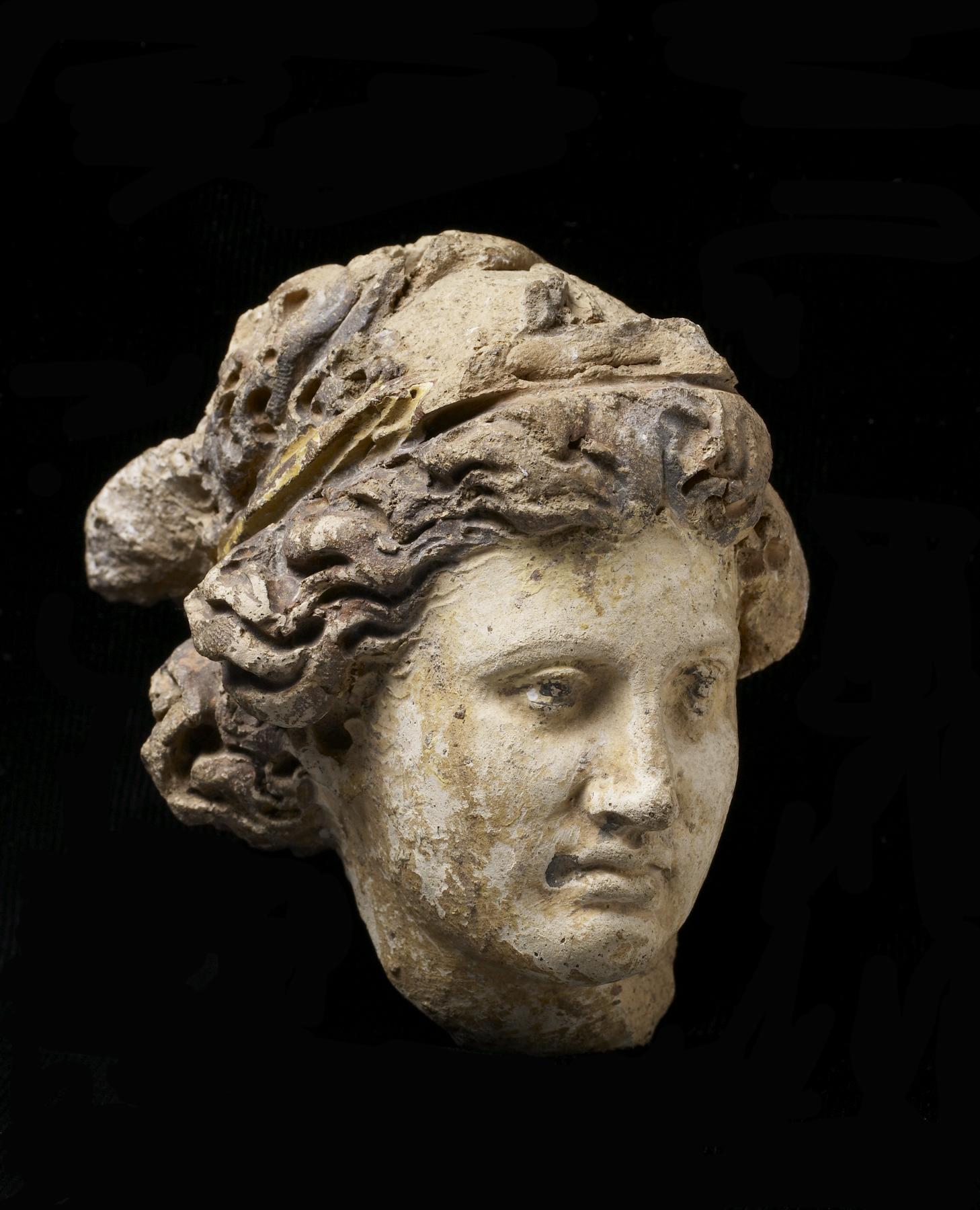 Image for Head of a Woman