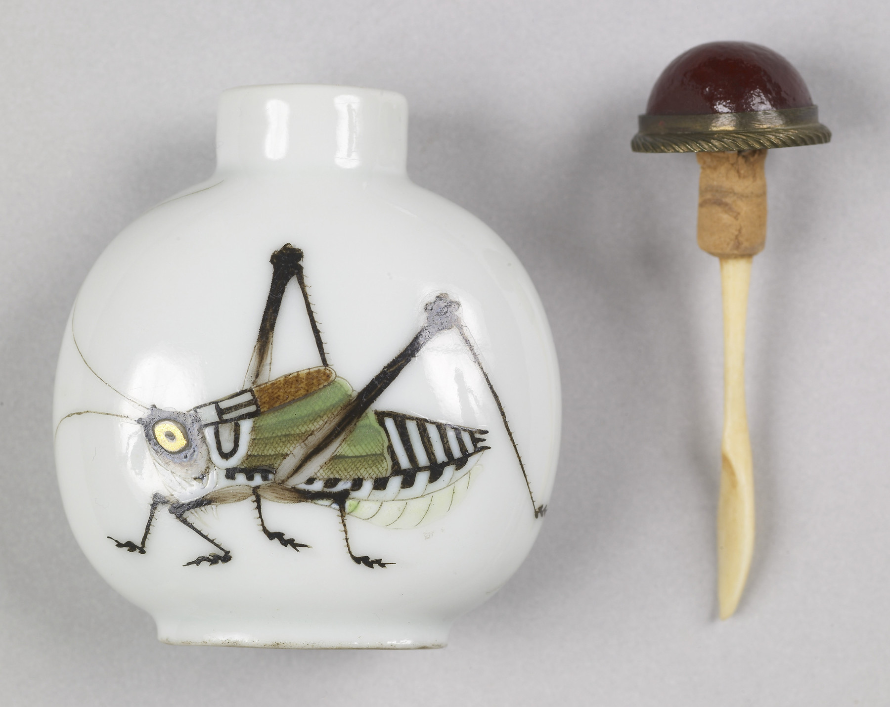 Image for Snuff Bottle with Cricket