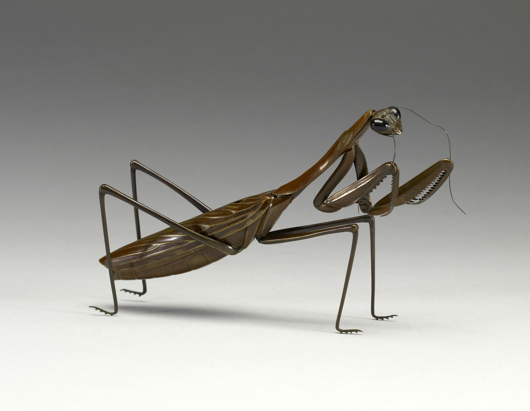 Image for Articulated Praying Mantis