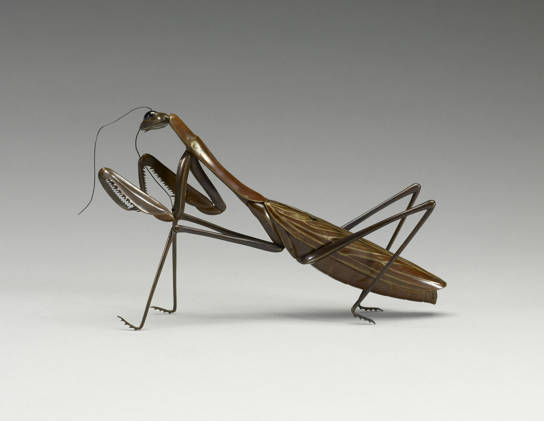 Image for Articulated Praying Mantis