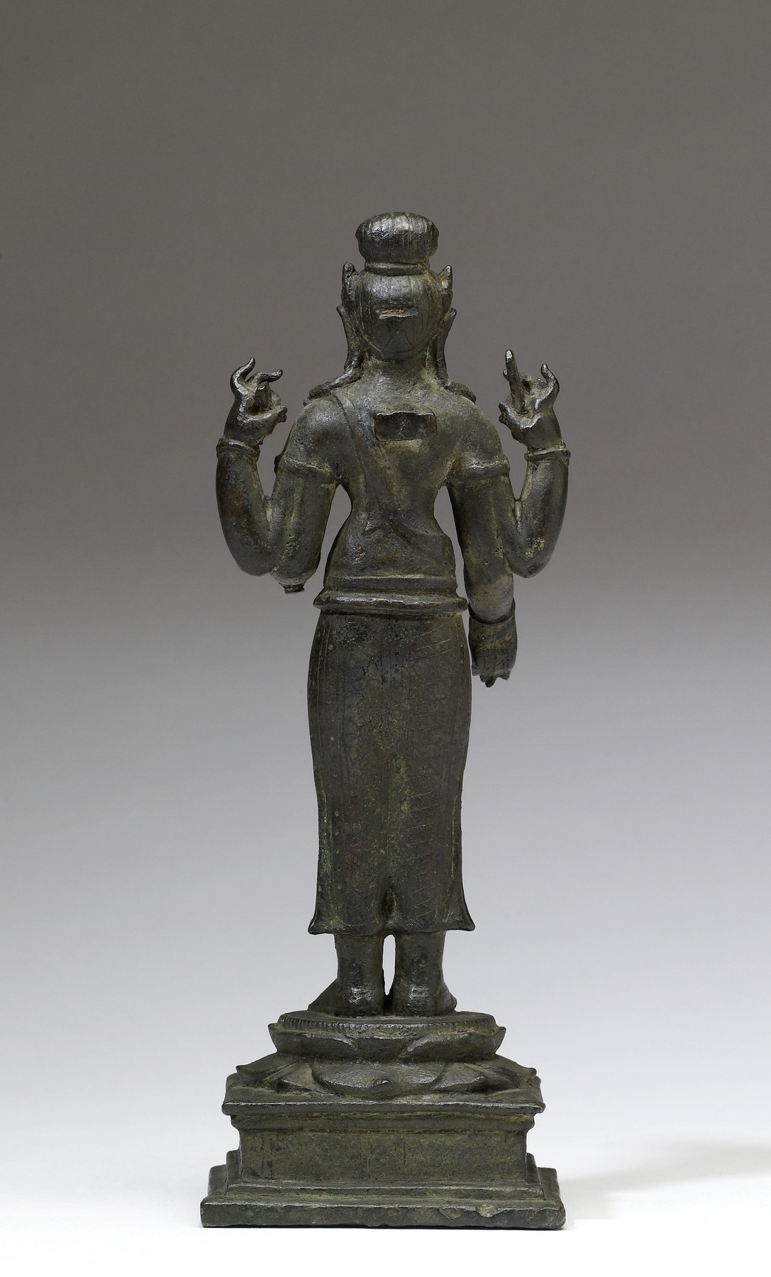 Image for The Buddhist Goddess Bhrikuti