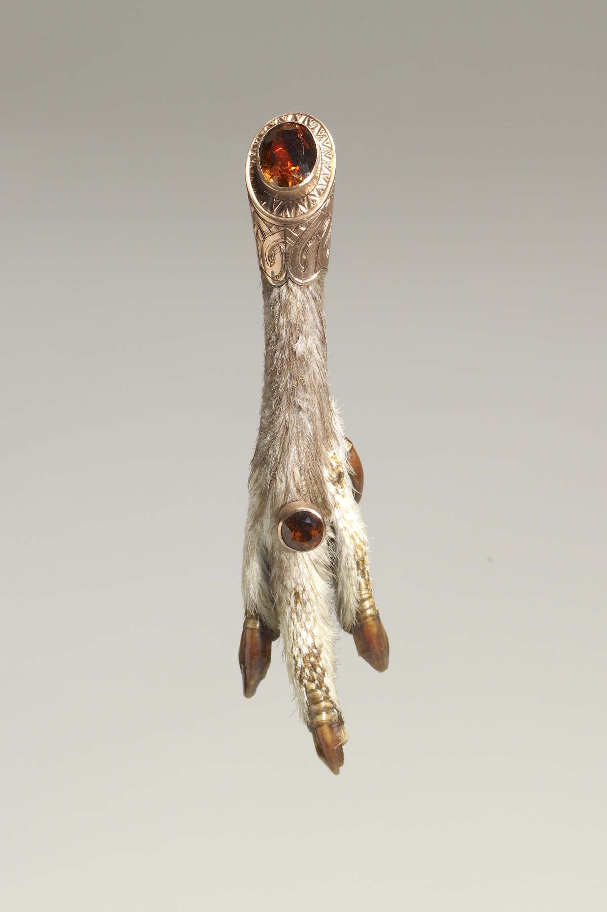 Image for Brooch with a Bird's Claw