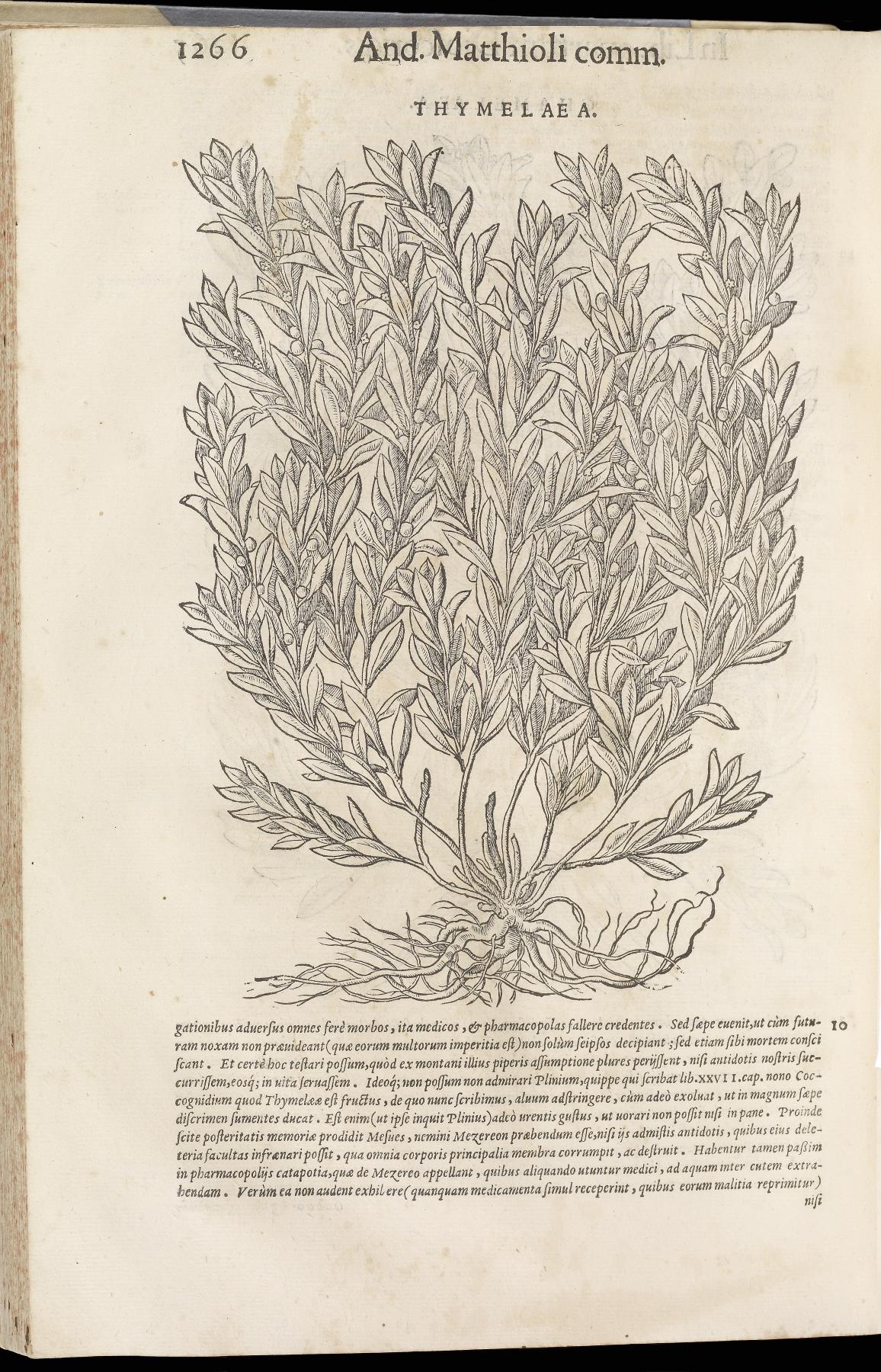 Image for Compendium de plantis omnibus (2 vols.)
