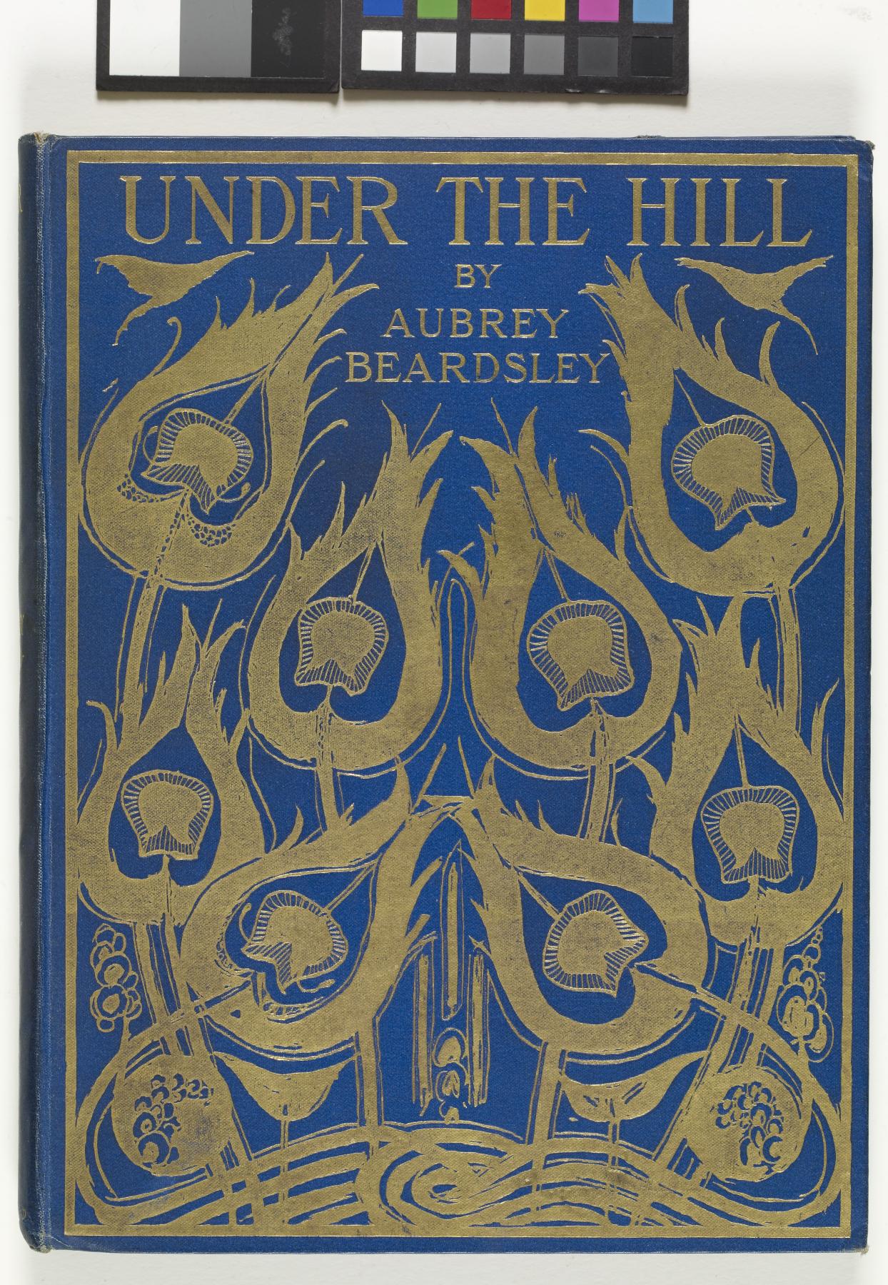 Image for Under the Hill, and other essays in prose and verse, with illustrations