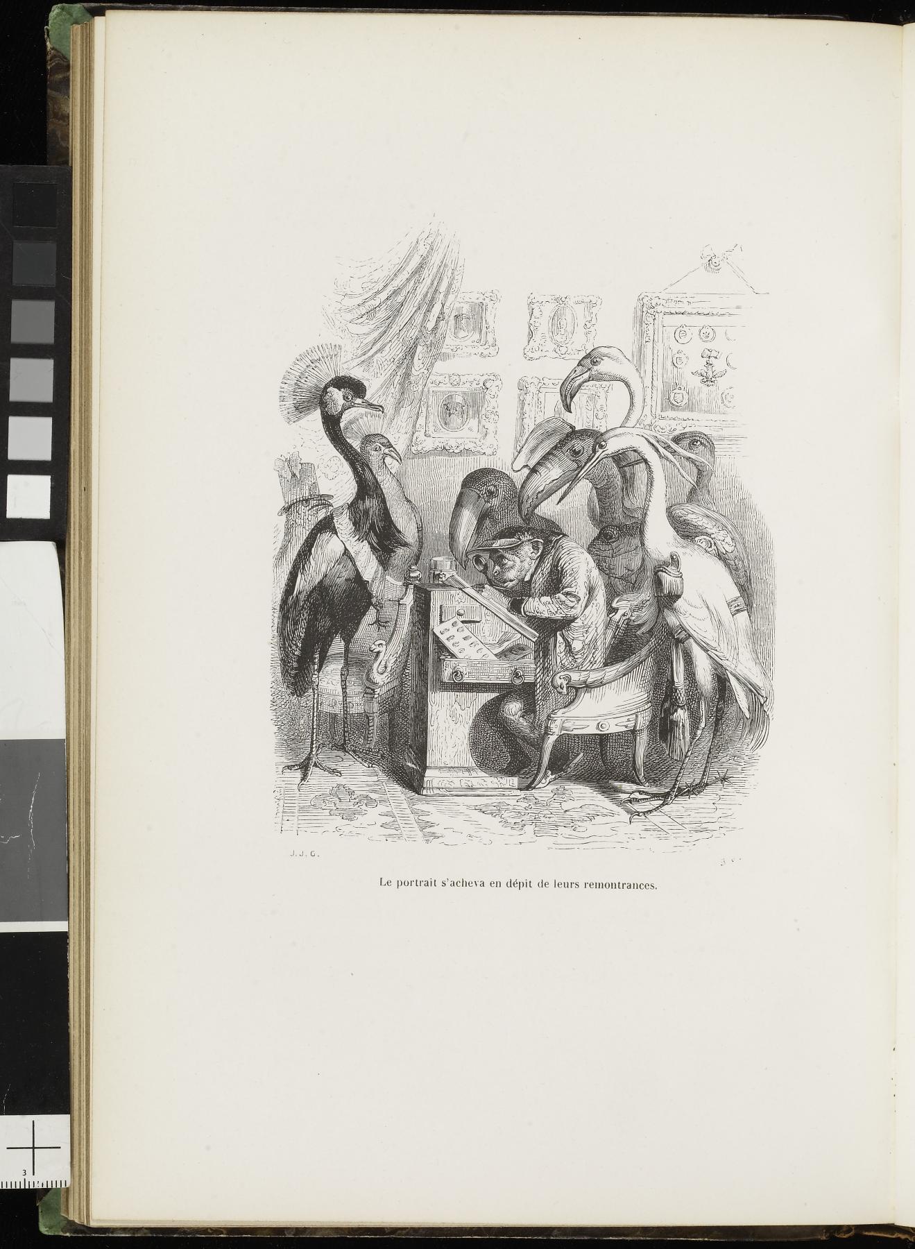 Image for Scènes de la Vie Privée et Publique des Animaux: Etudes des moeurs contemporains; volume II