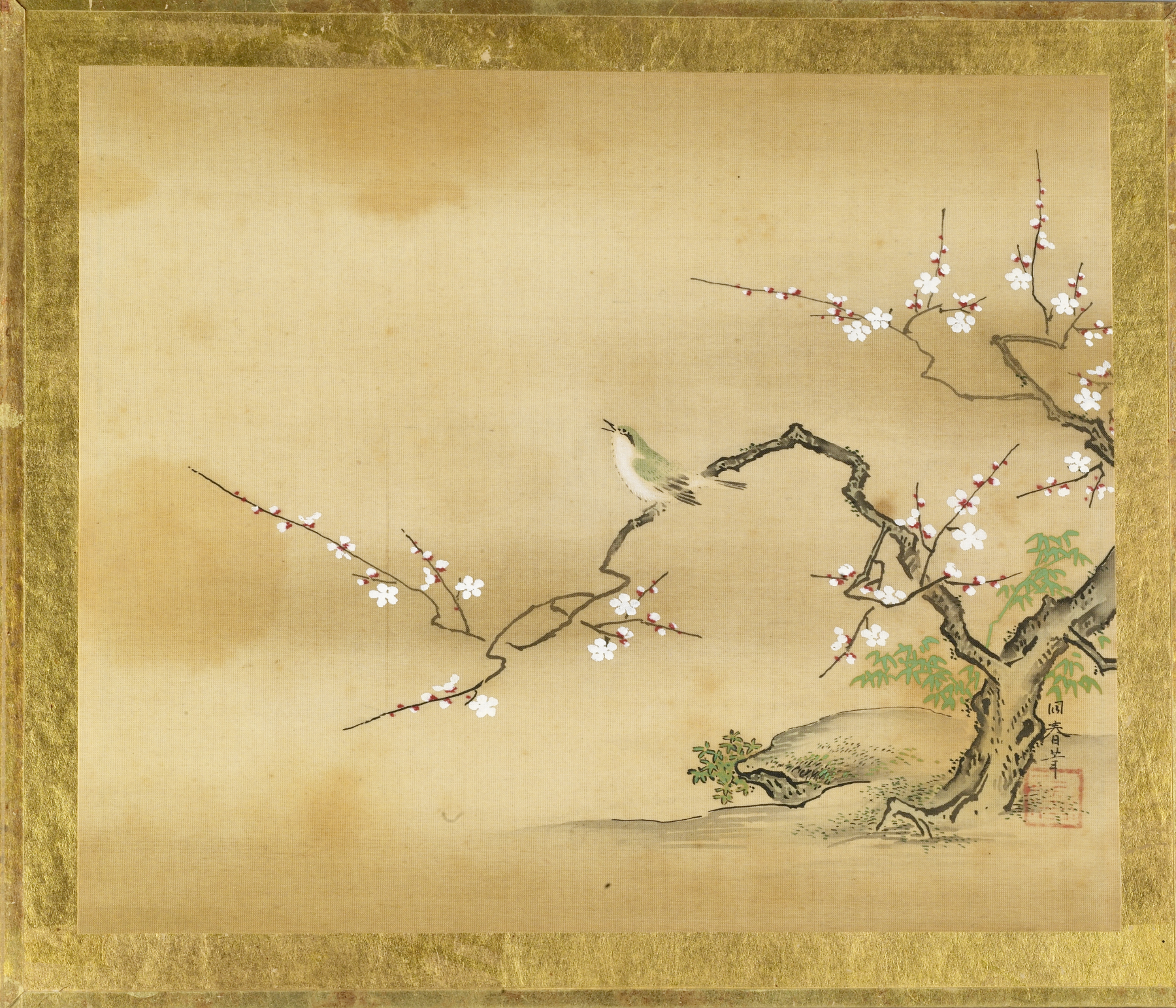 Image for Bird in Prunus Tree