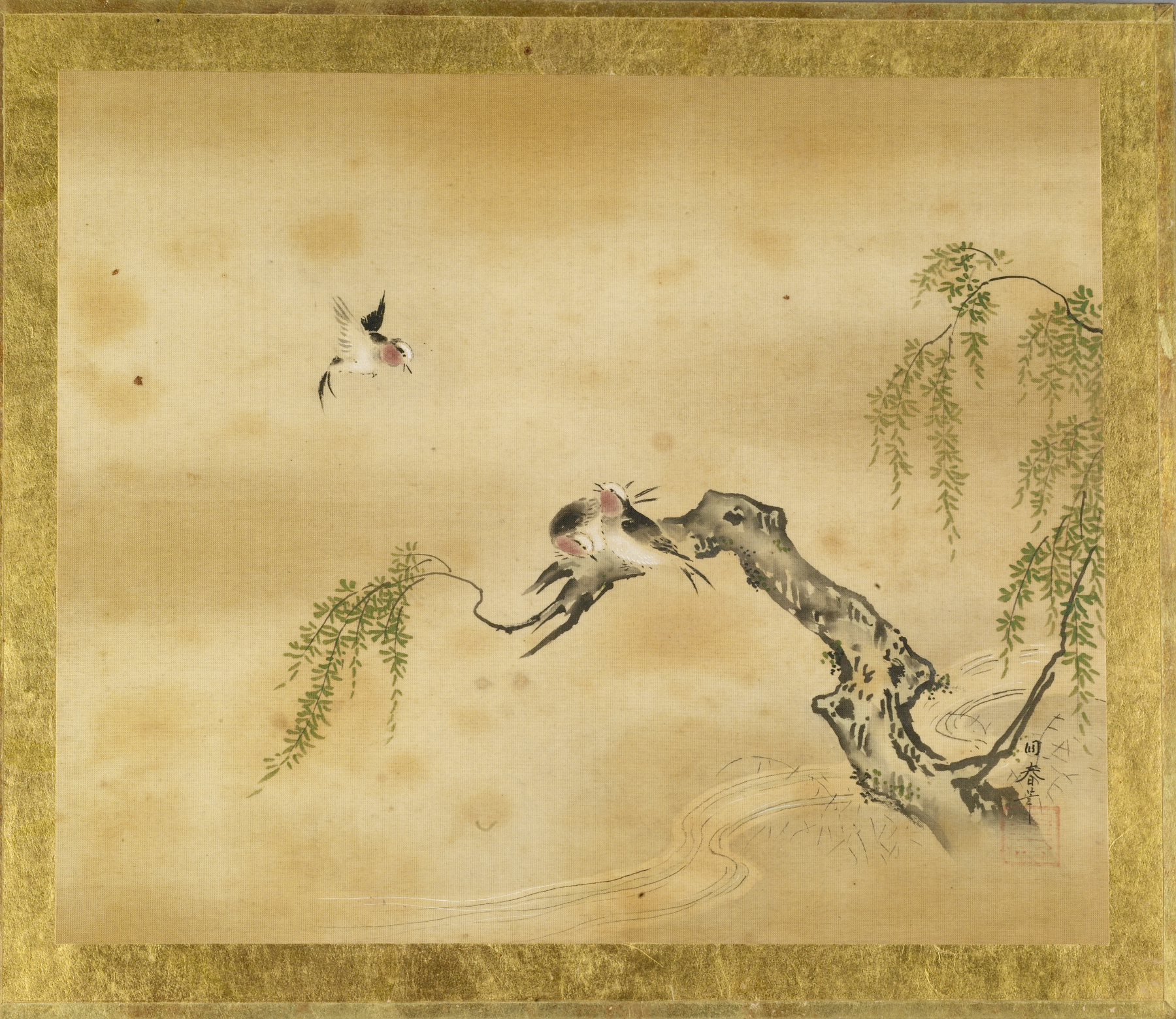 Image for Swallows and Willow