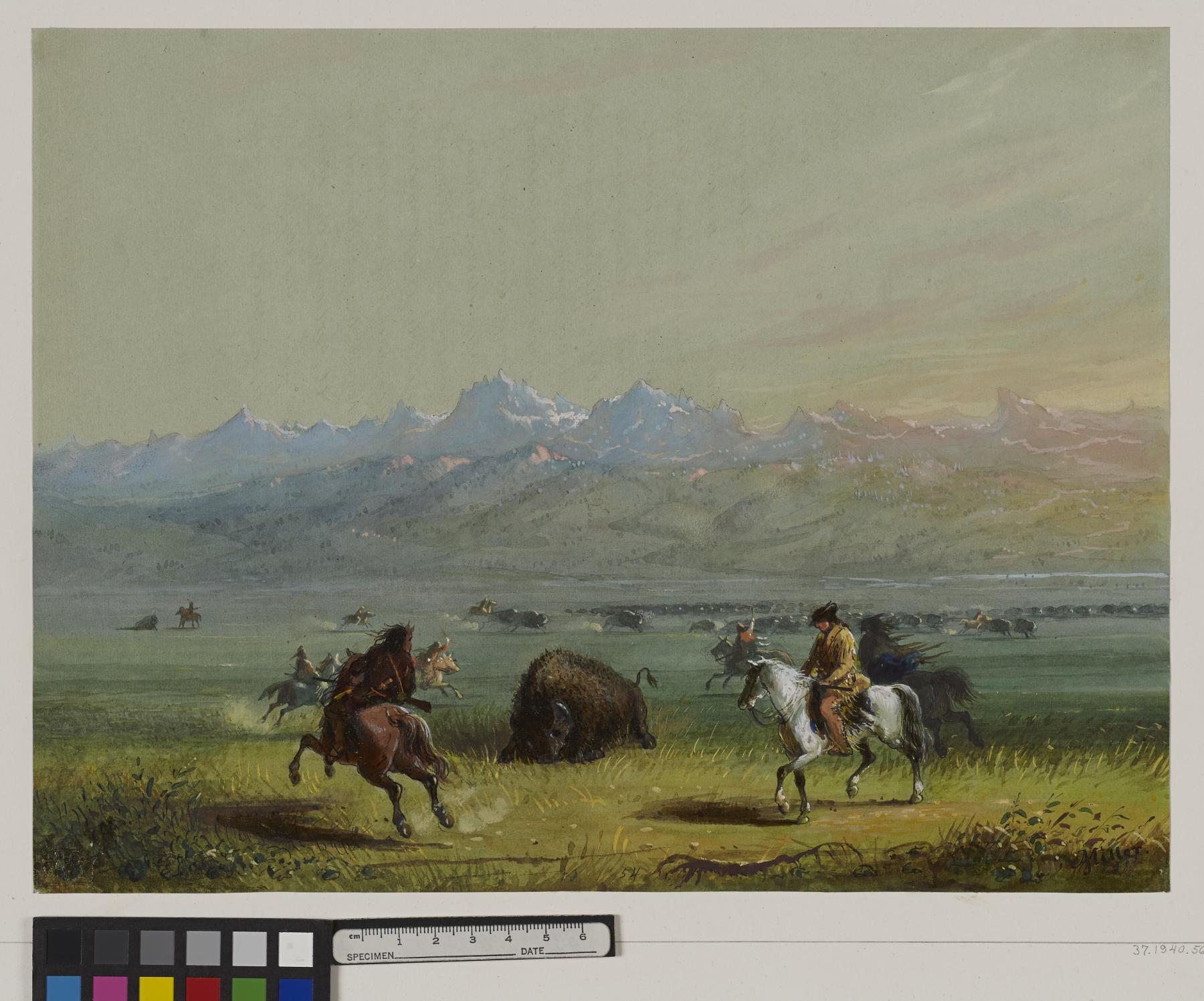 Image for Wounded Buffalo