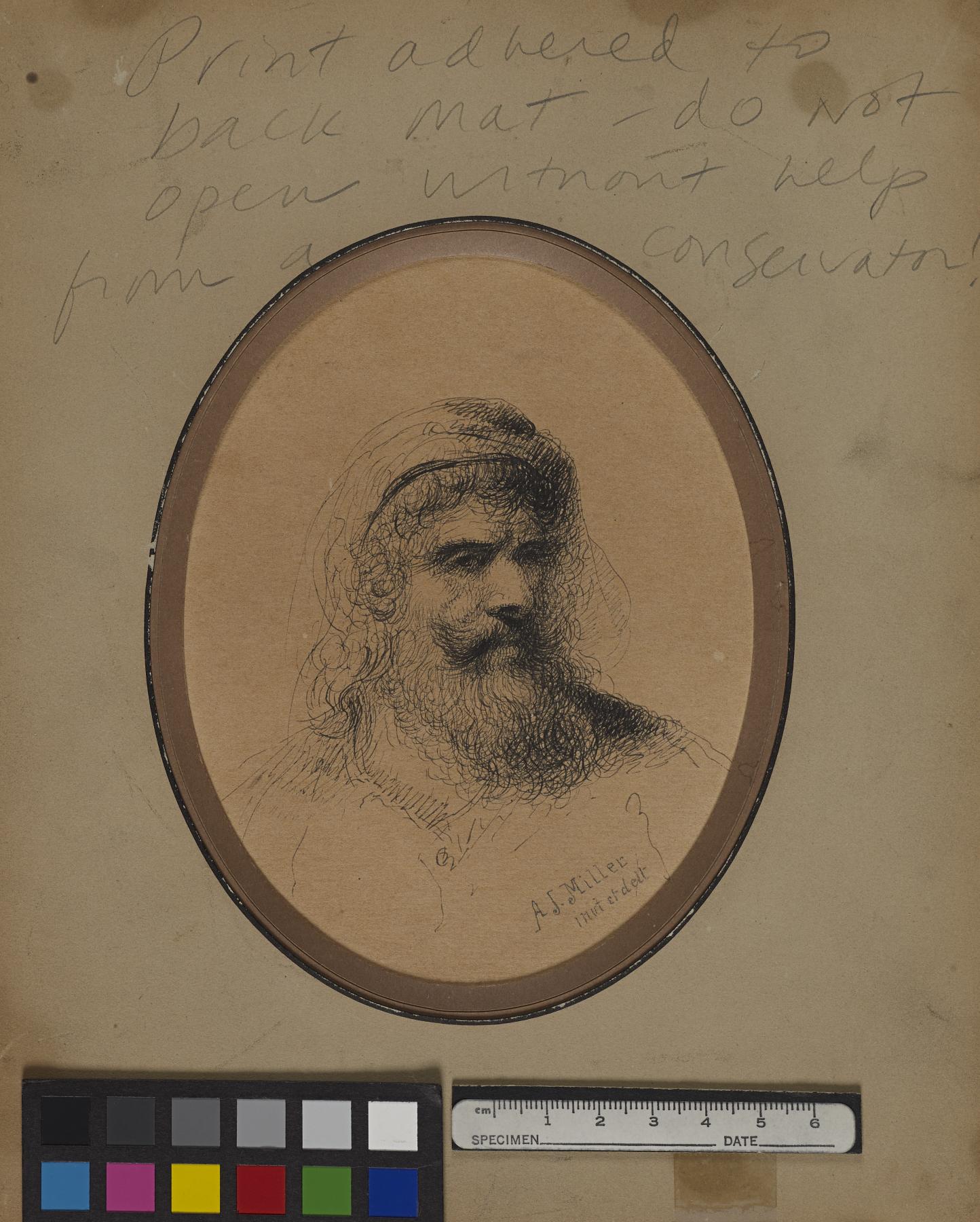 Image for Turkish Pasha