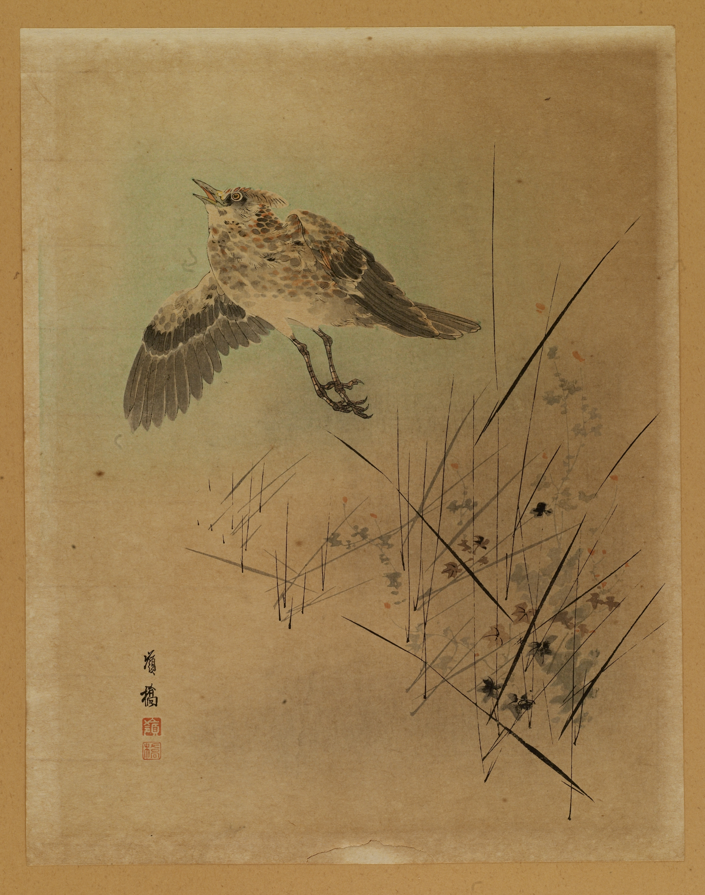 Image for Bird Taking Flight from Autumn Grasses