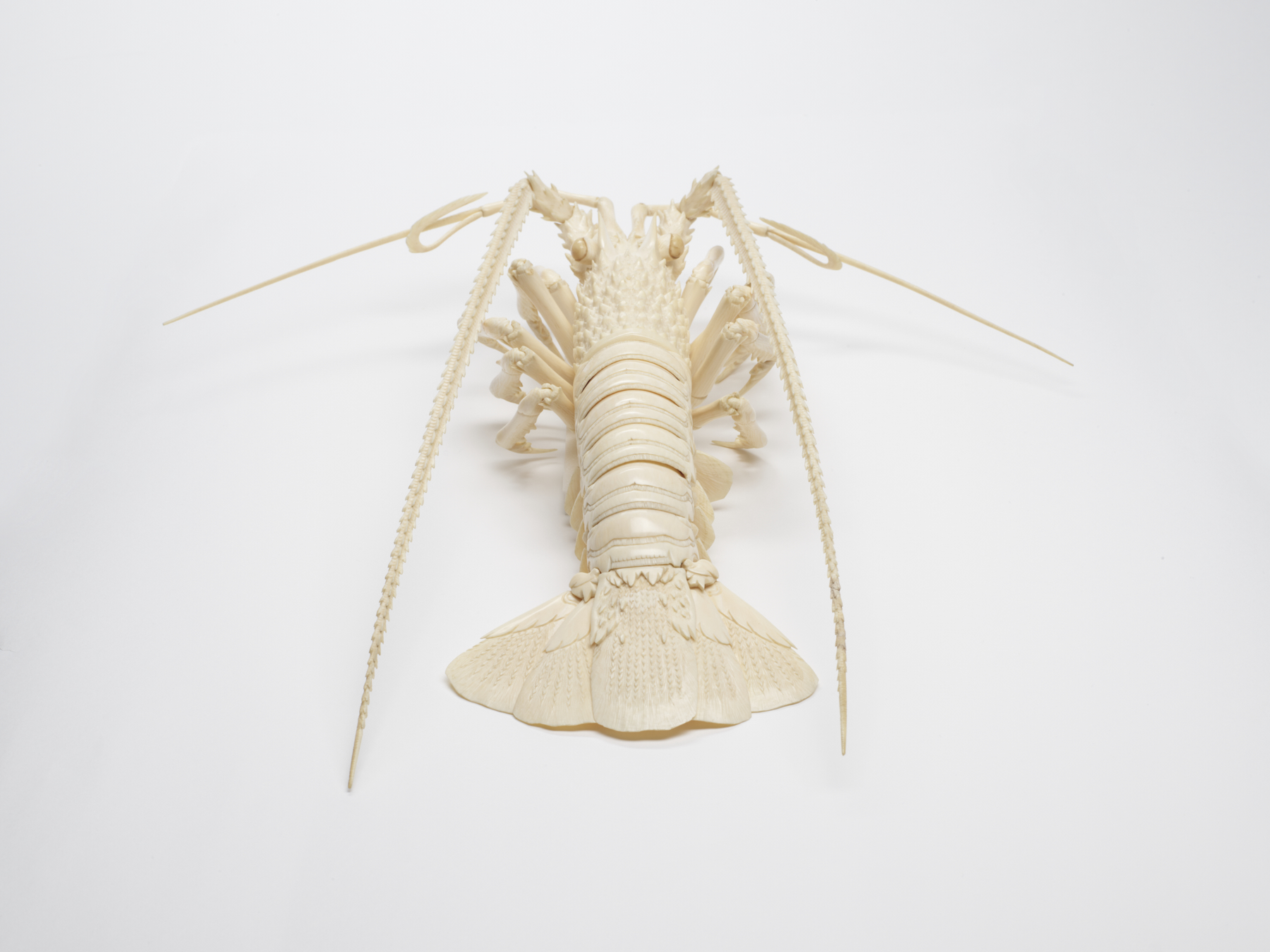 Image for Articulated Spiny Lobster