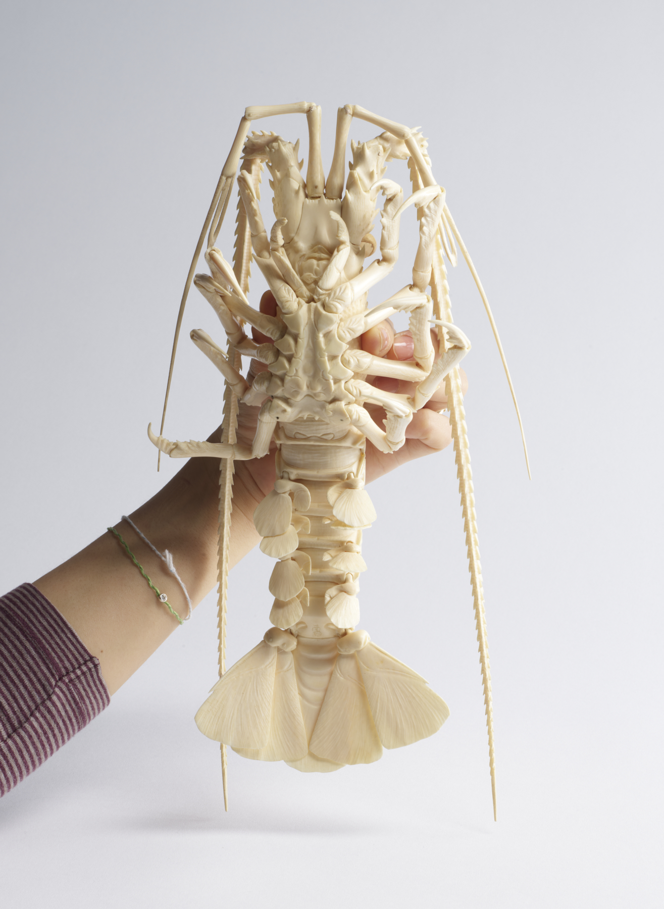 Image for Articulated Spiny Lobster