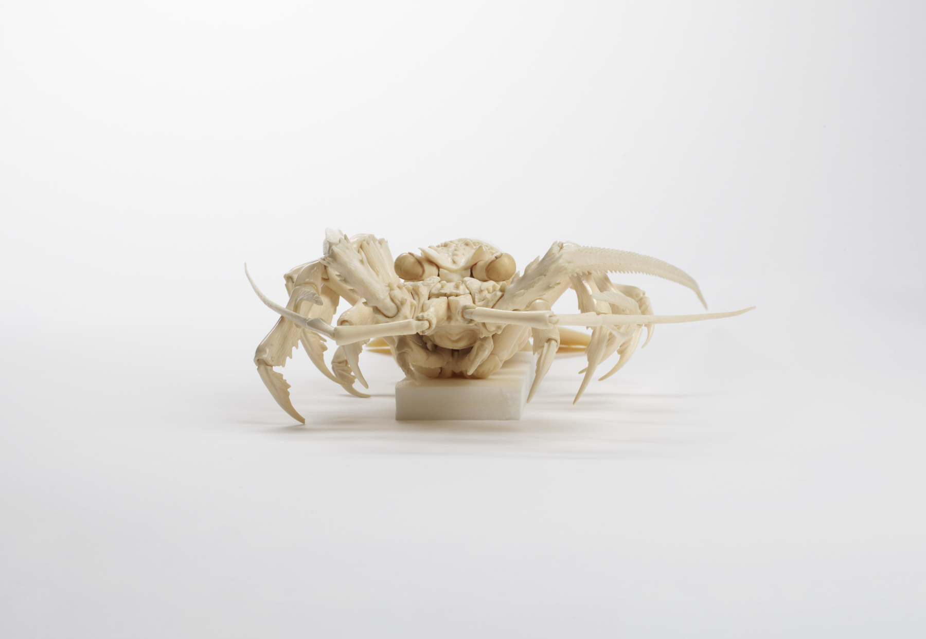 Image for Articulated Spiny Lobster
