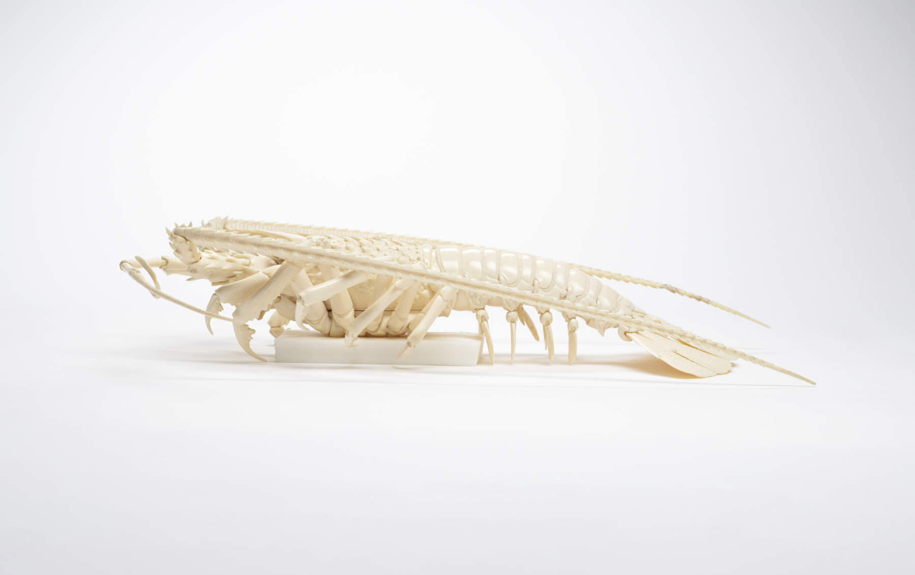 Image for Articulated Spiny Lobster