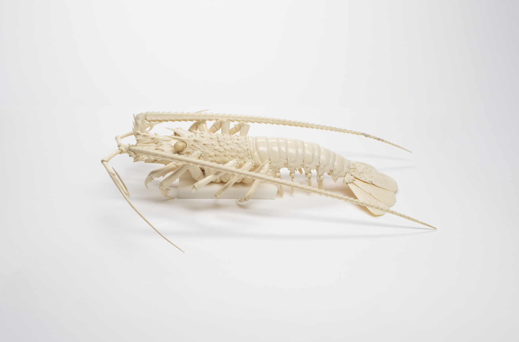 Image for Articulated Spiny Lobster