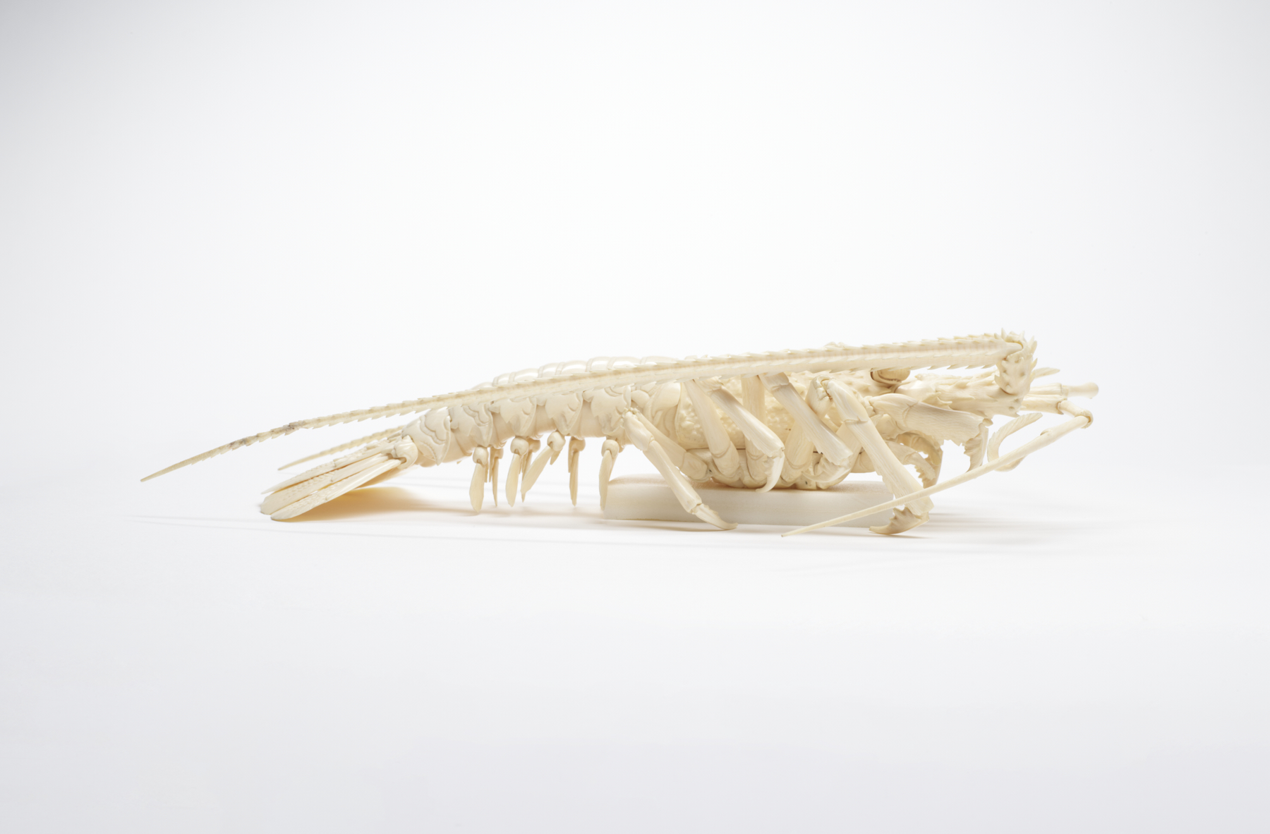 Image for Articulated Spiny Lobster