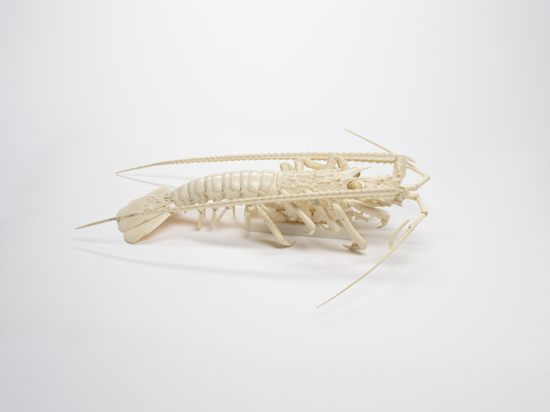 Image for Articulated Spiny Lobster