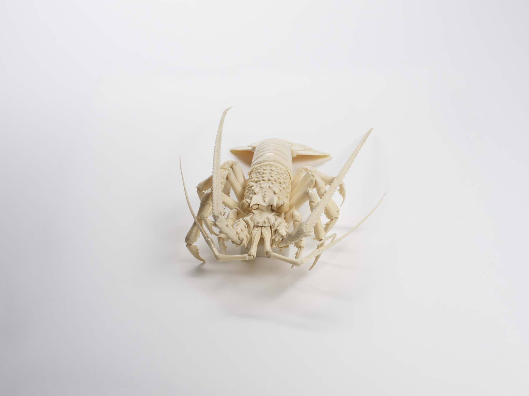 Image for Articulated Spiny Lobster