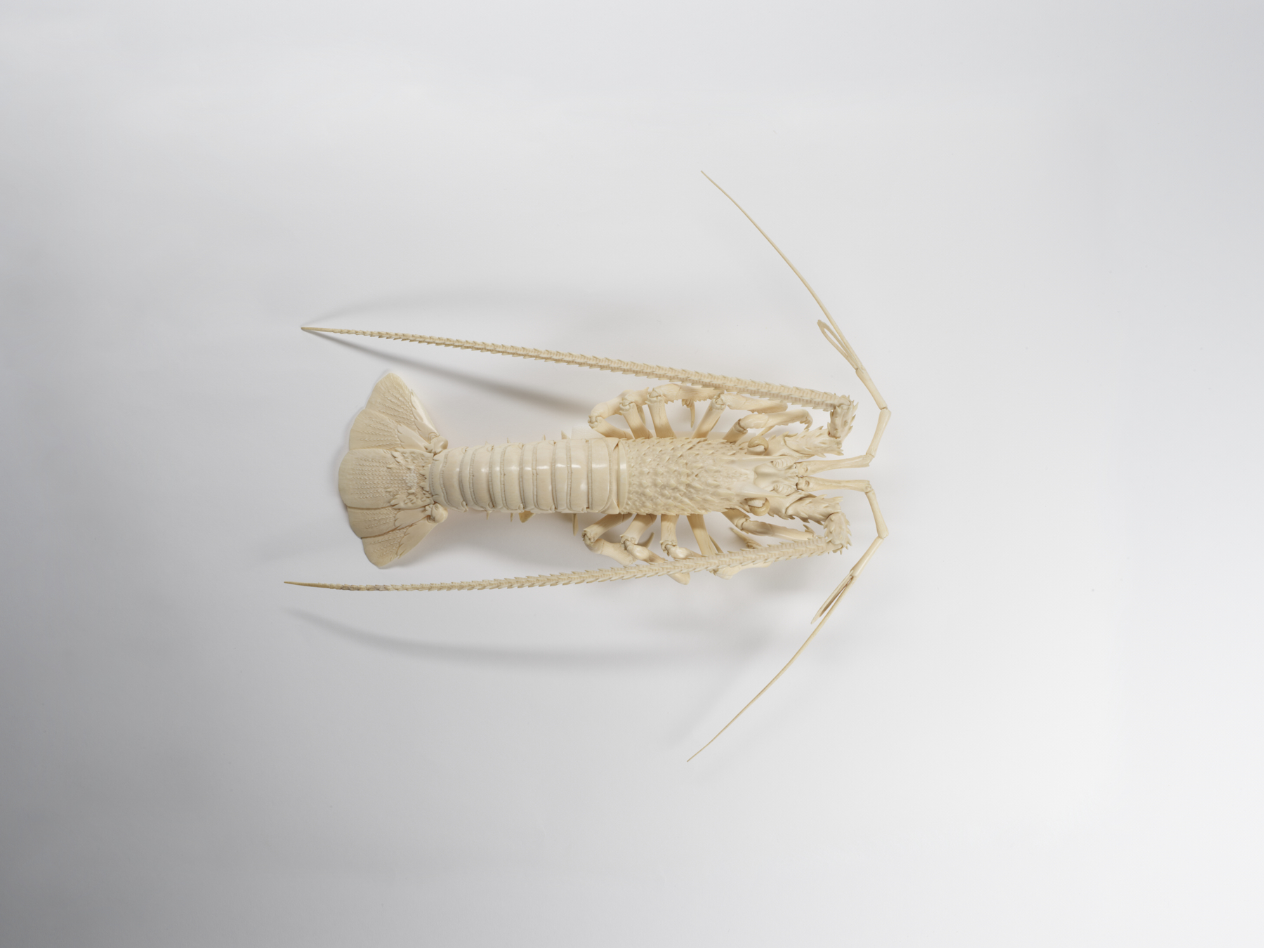 Image for Articulated Spiny Lobster