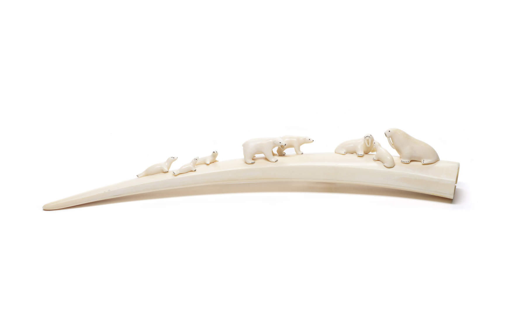 Image for Carved Walrus Tusk