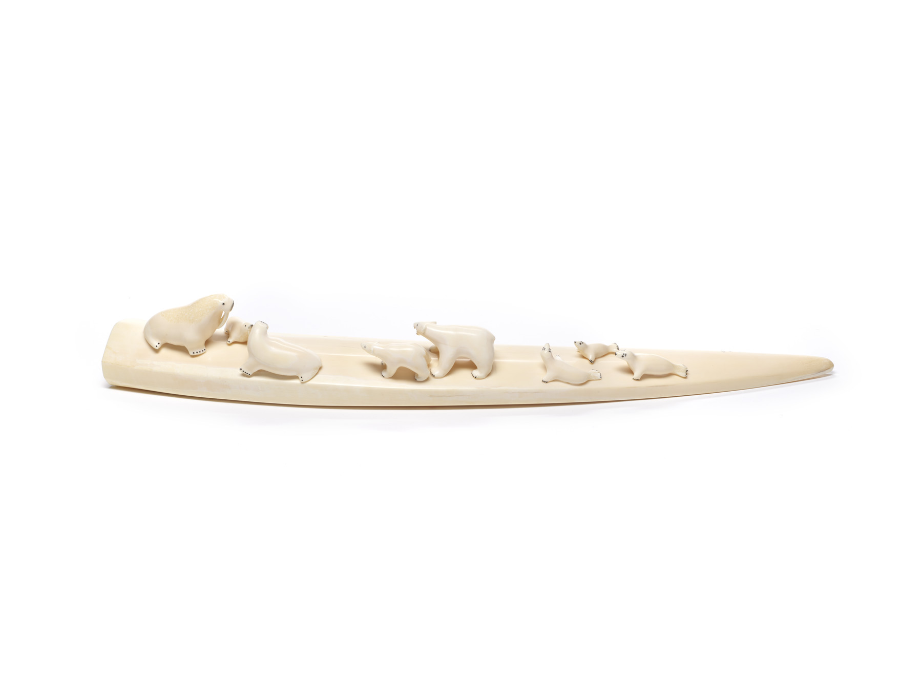 Image for Carved Walrus Tusk