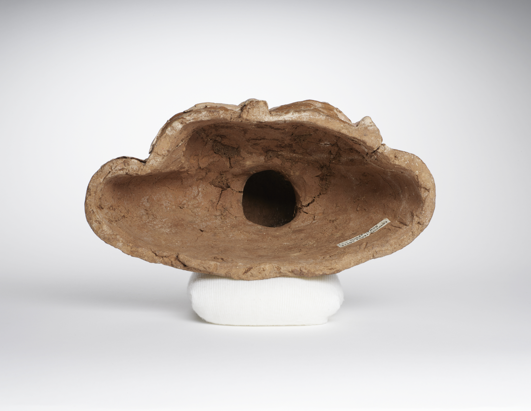 Image for Head and Bust of a Woman
