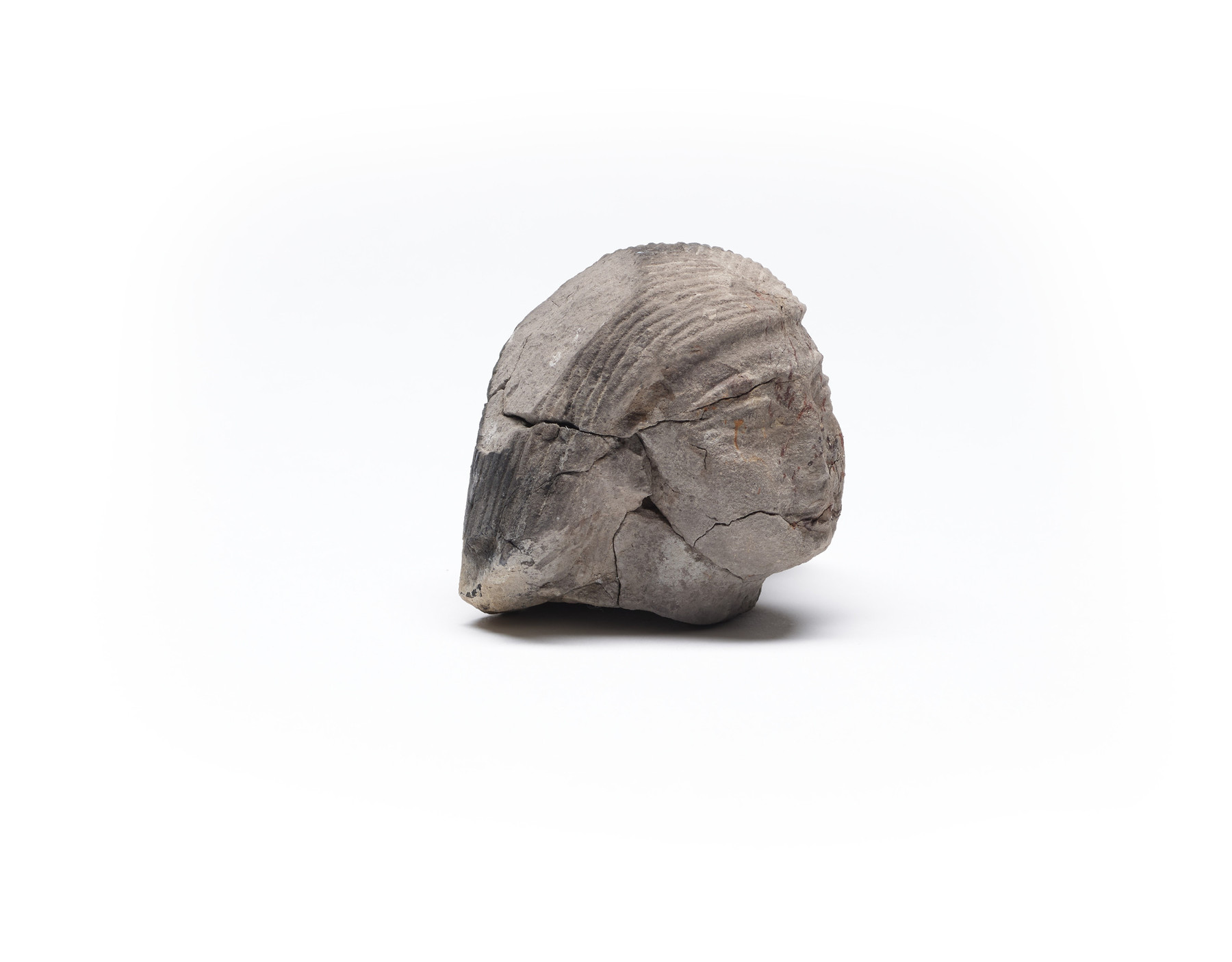 Image for Head